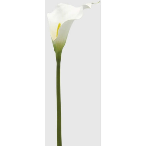EDG RAMO CALLA H65CM BIANCO, CASA, ACCESSORI DECORATIVI, FIORI ARTIFICIALI