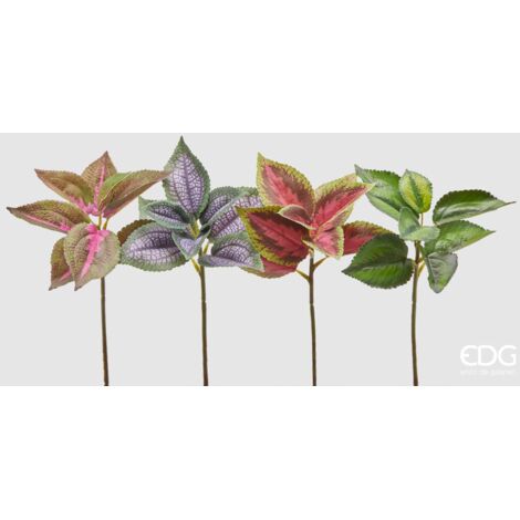 EDG Ramo Coleus Olis Multicolor H 30 cm