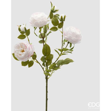 EDG Ramo Di Rosa Sonia Con Foglie E Bocciolo H 65 Bianco Rosa