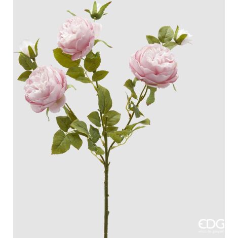 EDG Ramo Di Rosa Sonia Con Foglie E Bocciolo H 65 Rosa