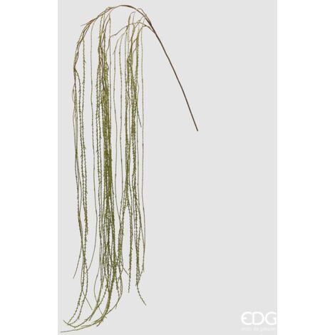 EDG Ramo  Lycopodium L 186 cm