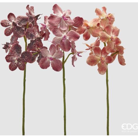 EDG Ramo Orchidea Vanda Arancione H 70 cm