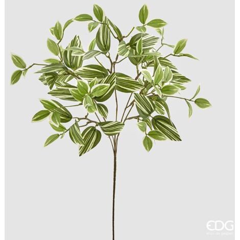 EDG Ramo  Zebrina H 60 cm