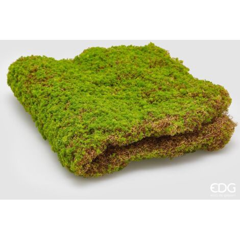 EDG Tappeto Muschio L 65 x L 32 cm