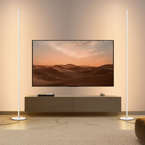 EDISHINE 2 Stück Stehlampe Wohnzimmer, LED Stehlampe Dimmbar, 3000K warmweiße Stehleuchte mit Memory-Funktion, höhenverstellbar 146 cm