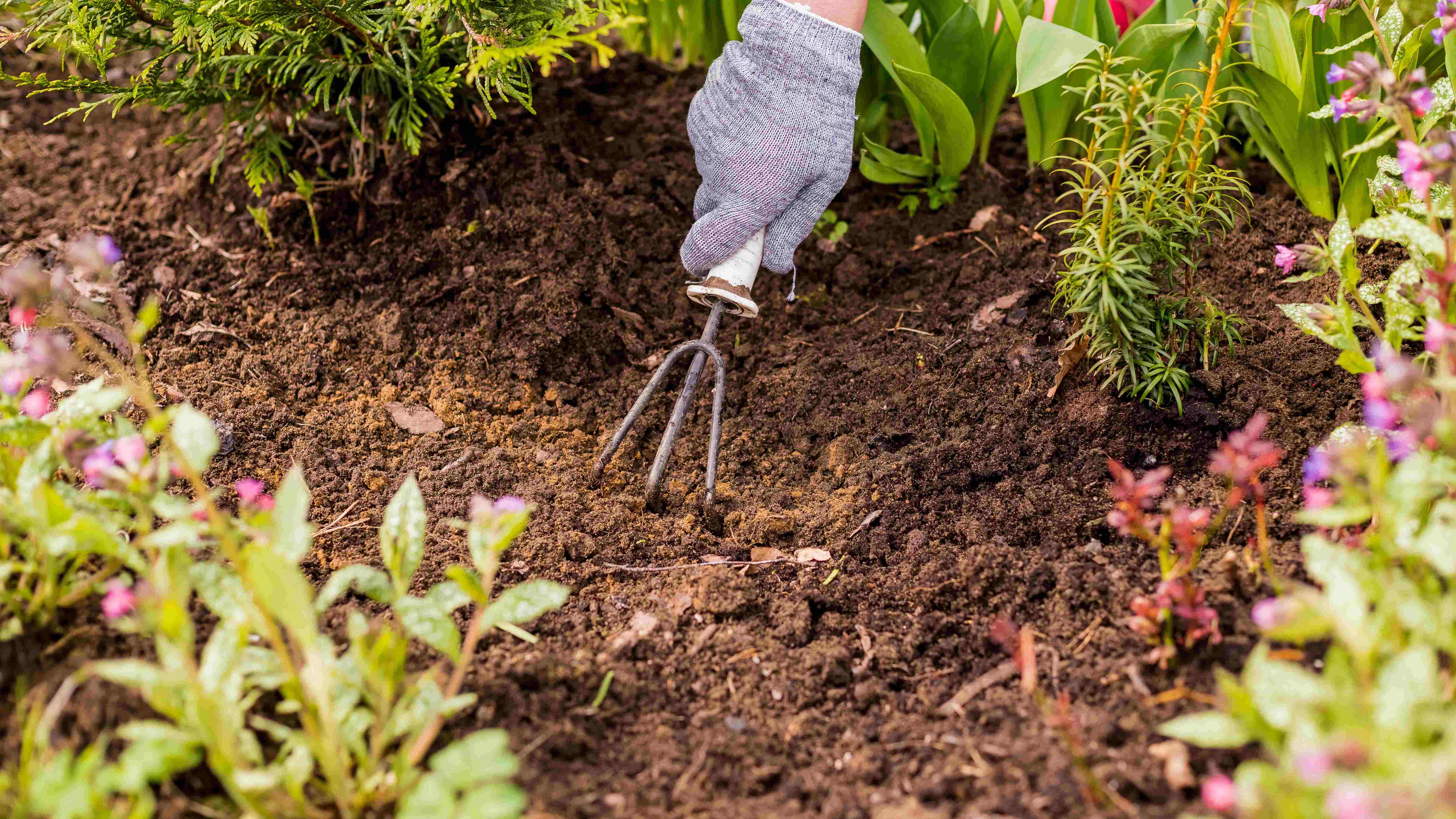Cómo preparar el jardín en primavera