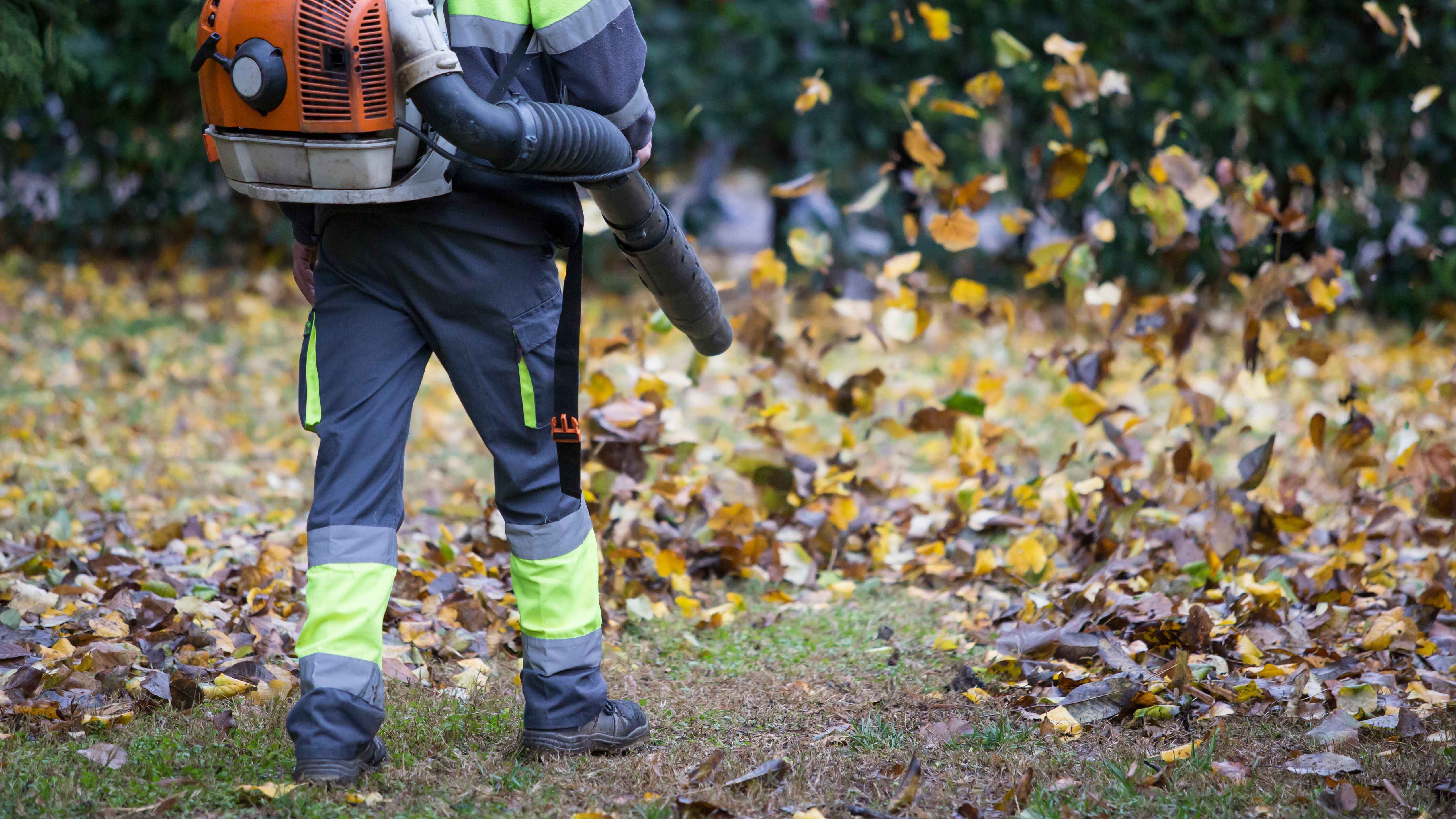 Comment choisir ses vêtements et accessoires de jardinage