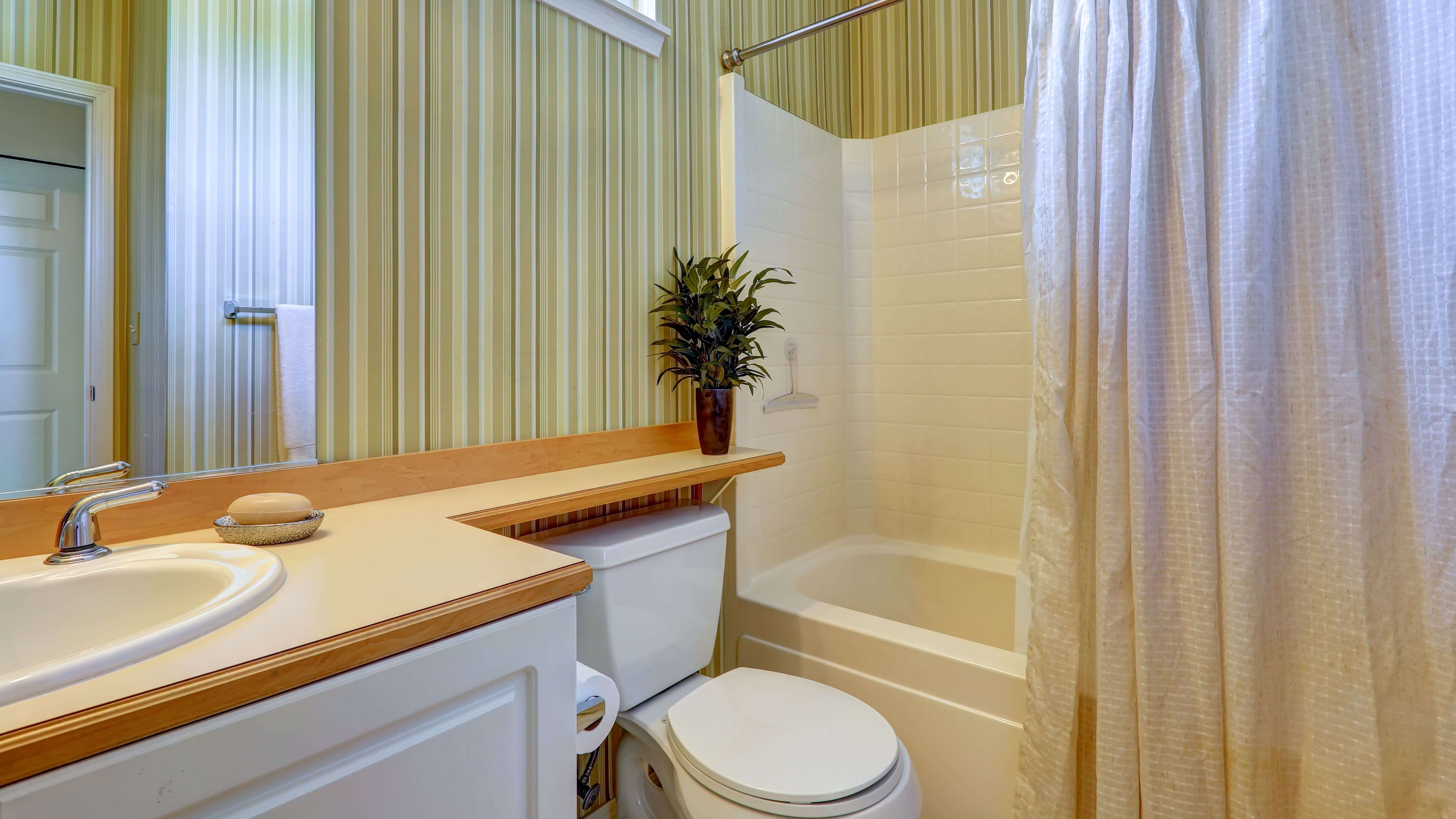 comment choisir du papier peint de salle de bains