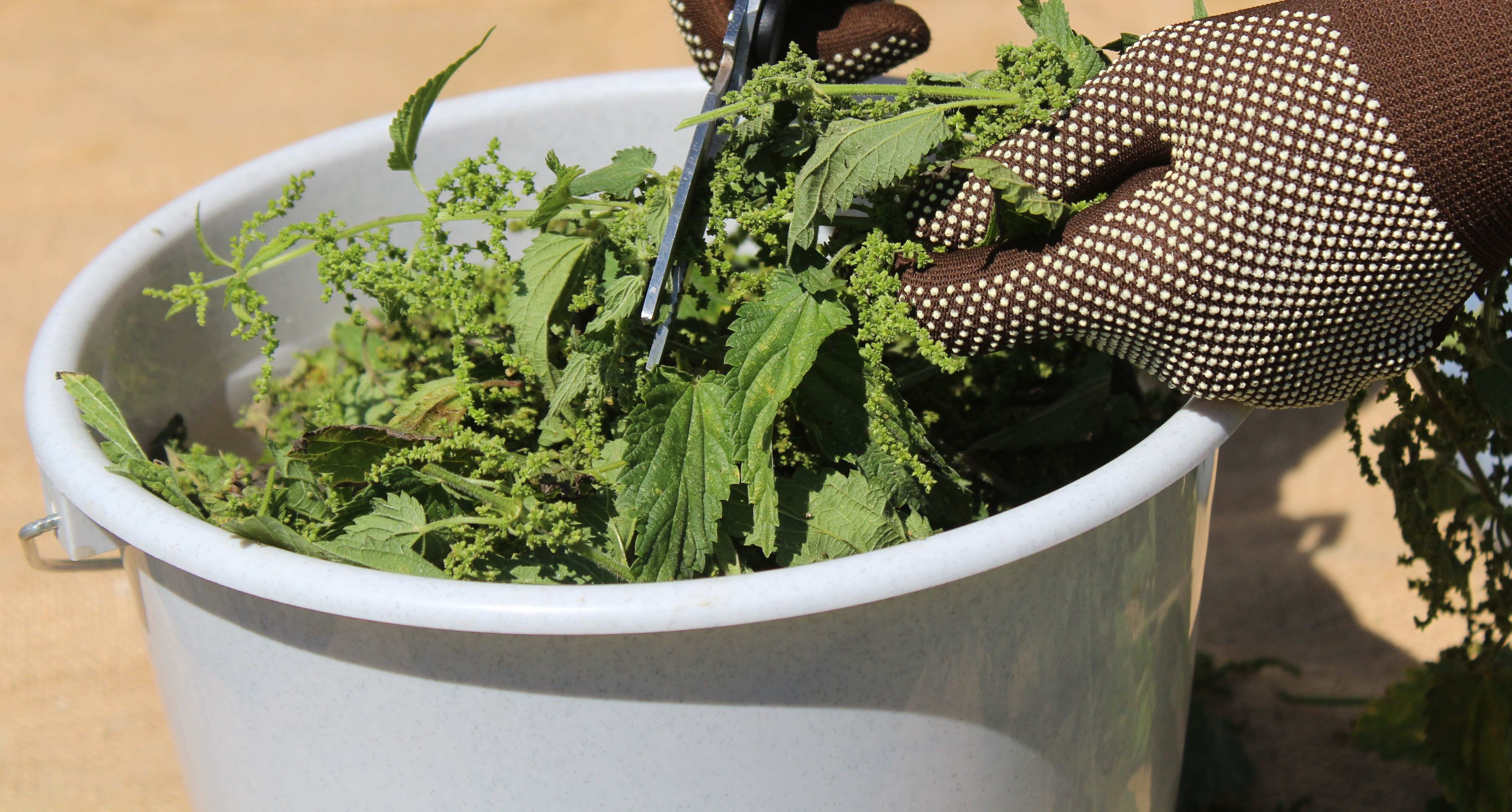 Comment faire ses purins de plantes