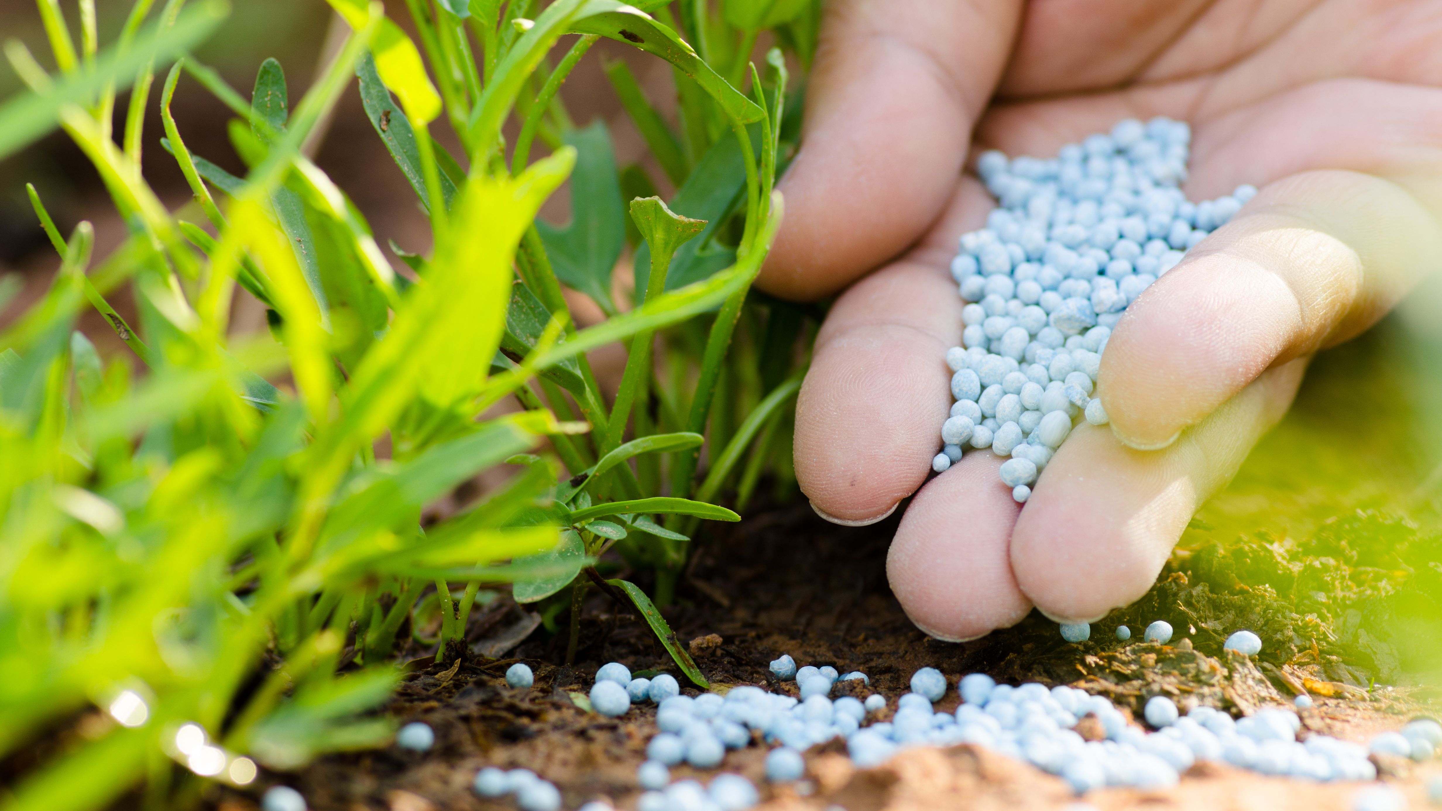Cómo elegir abonos y fertilizantes