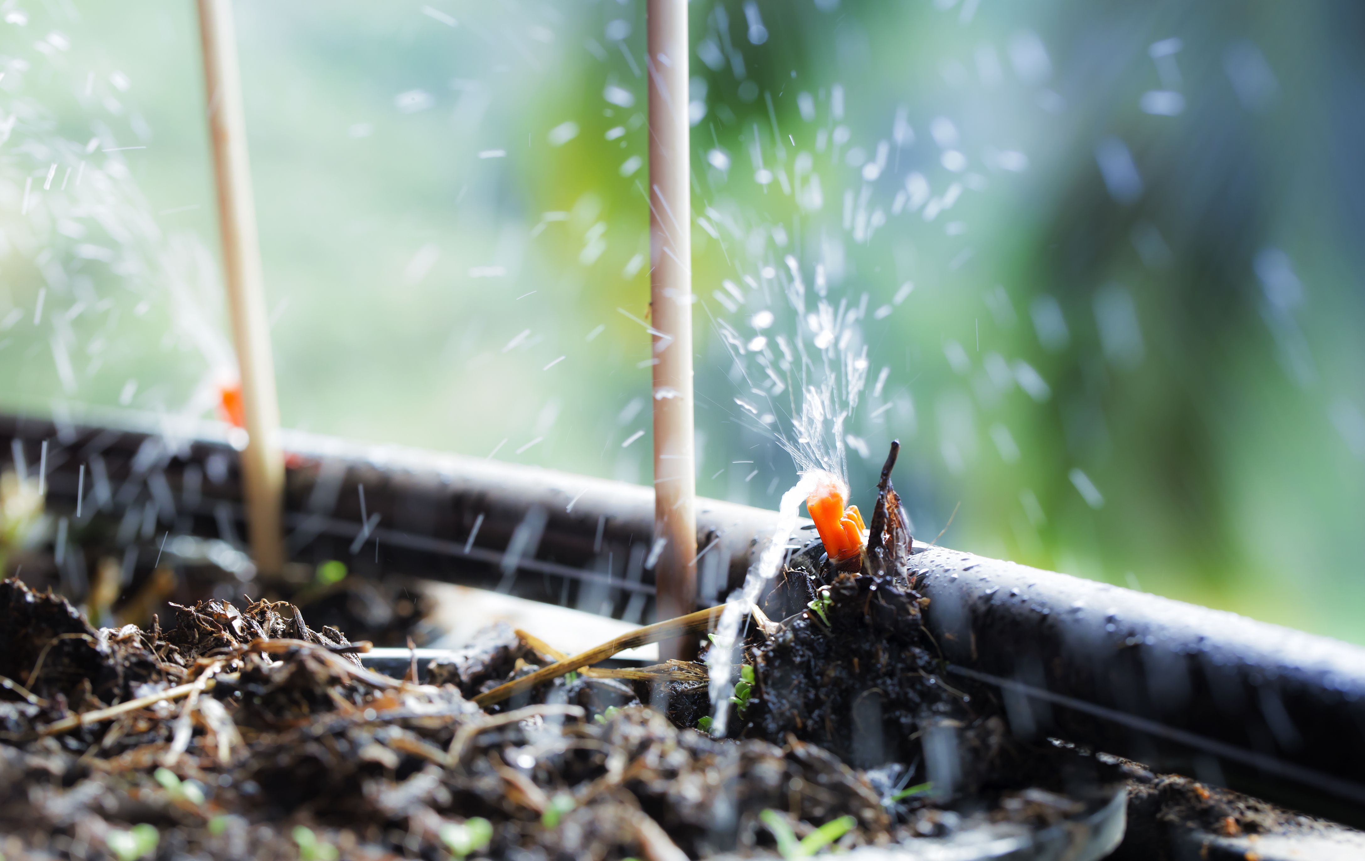 Comment choisir un système d'arrosage goutte à goutte