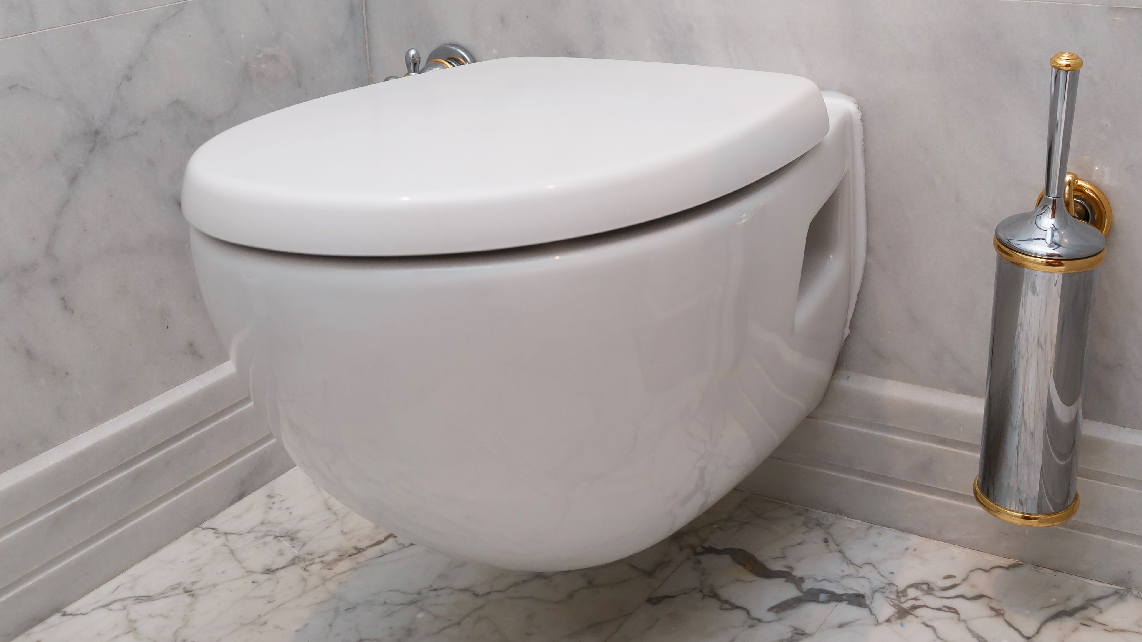 Comment Choisir Ses Wc Suspendus