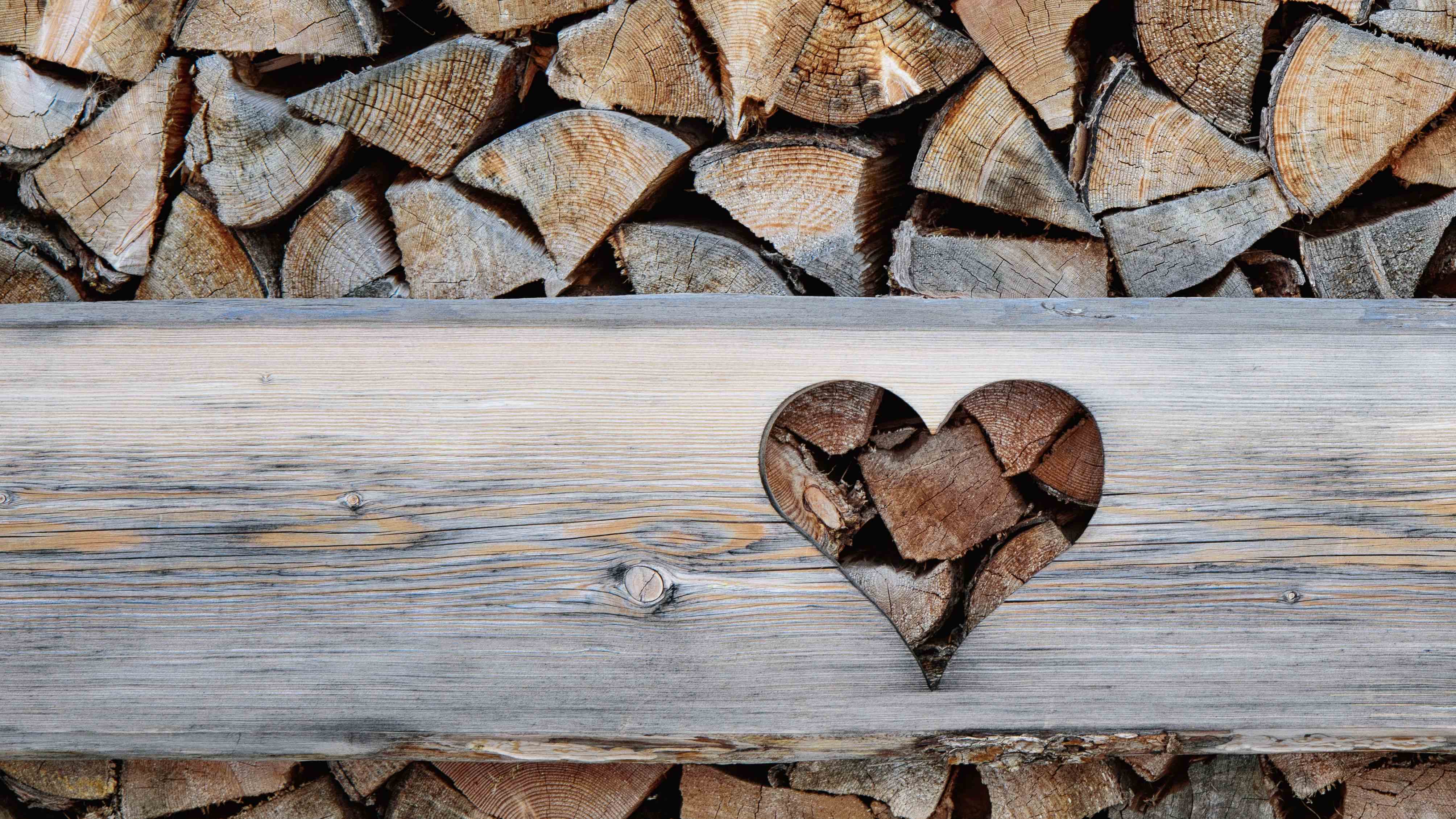 February: your home and garden checklist