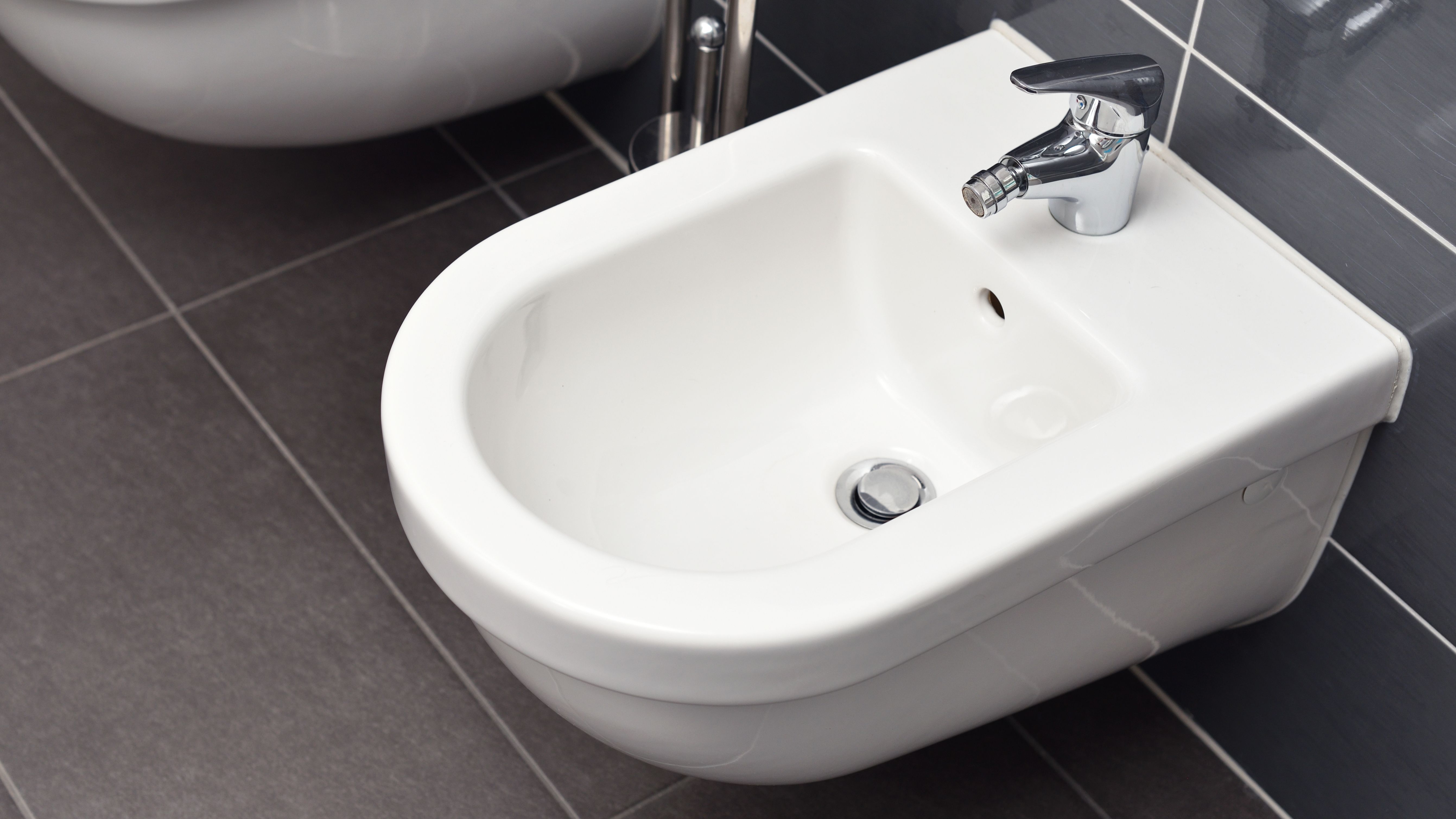 Bidet buying guide