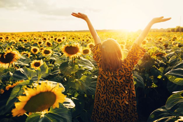 Agosto: la guida completa per la casa e il giardino