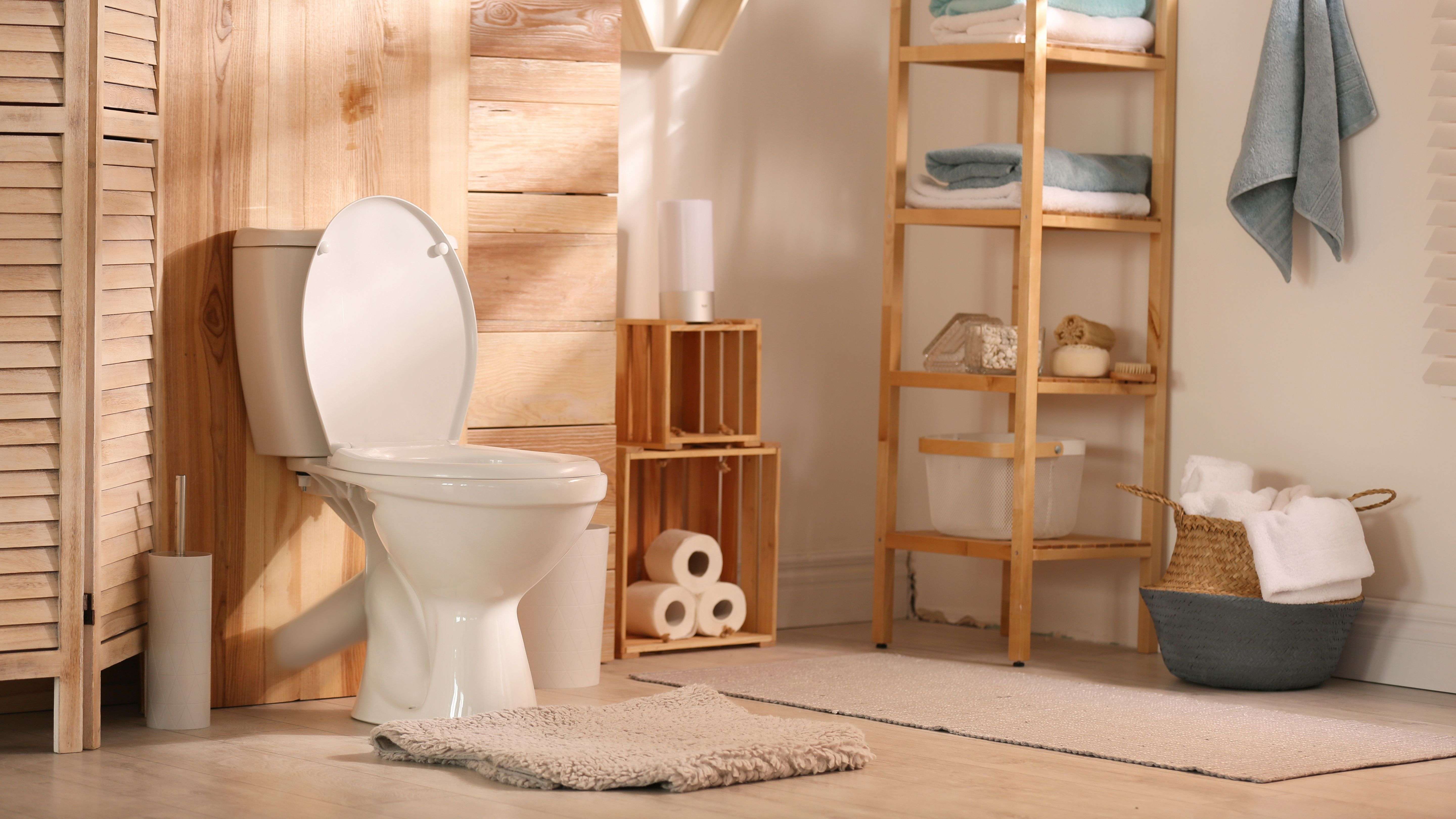 Toilet accessories buying guide
