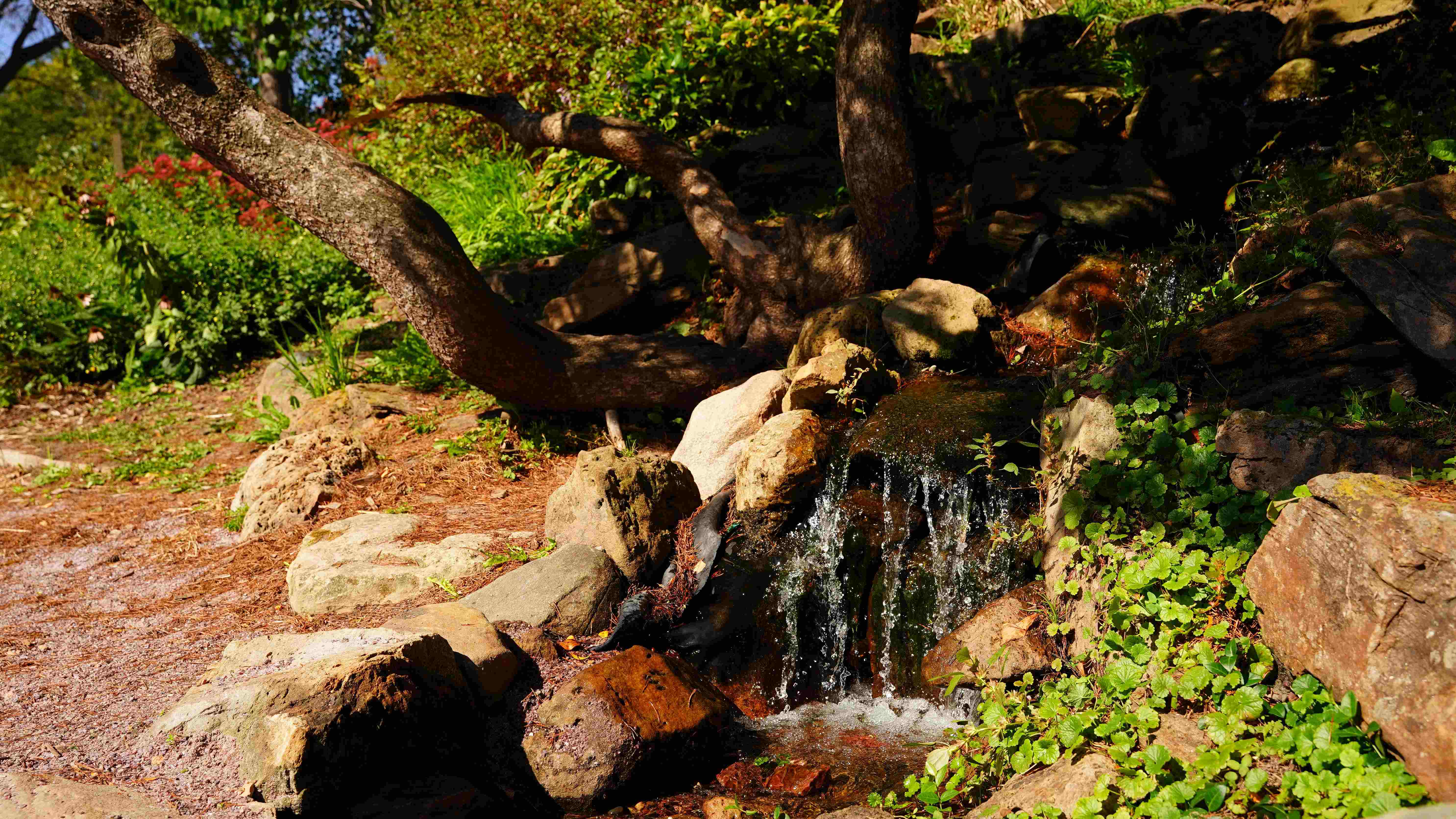 Cómo acondicionar un estanque de jardín