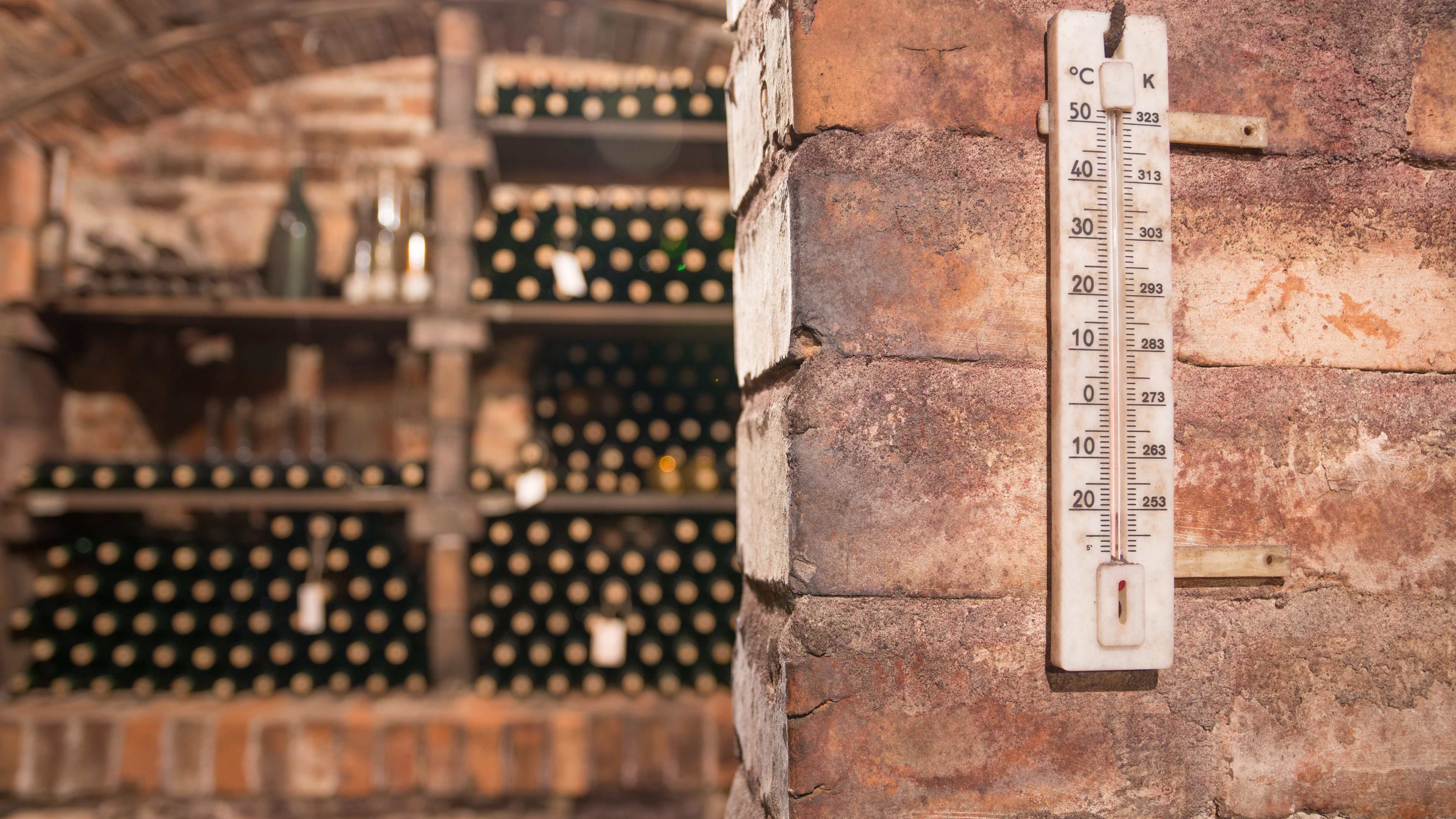 Climatiseur de cave à vin : comment choisir