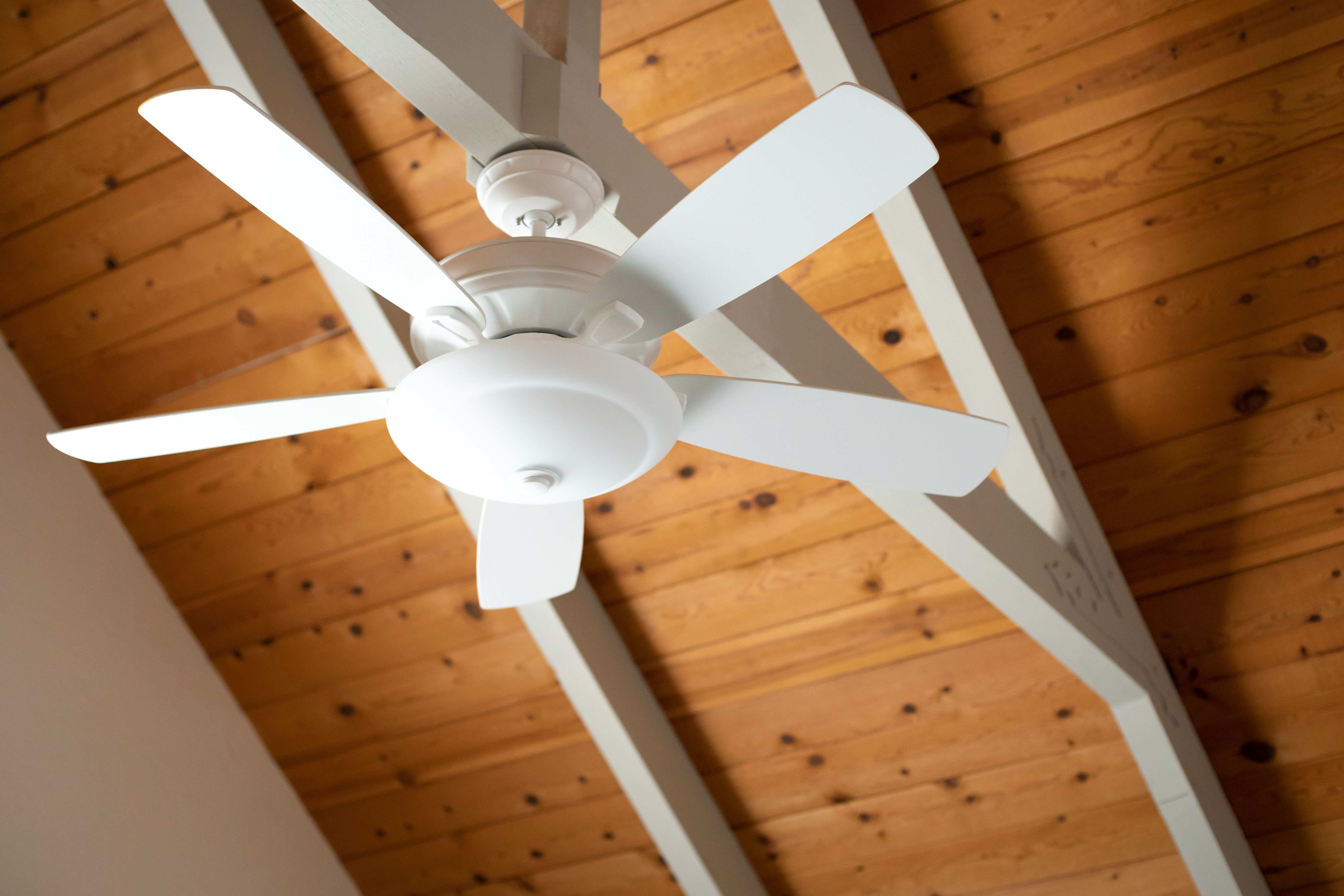 Cómo elegir un ventilador de techo