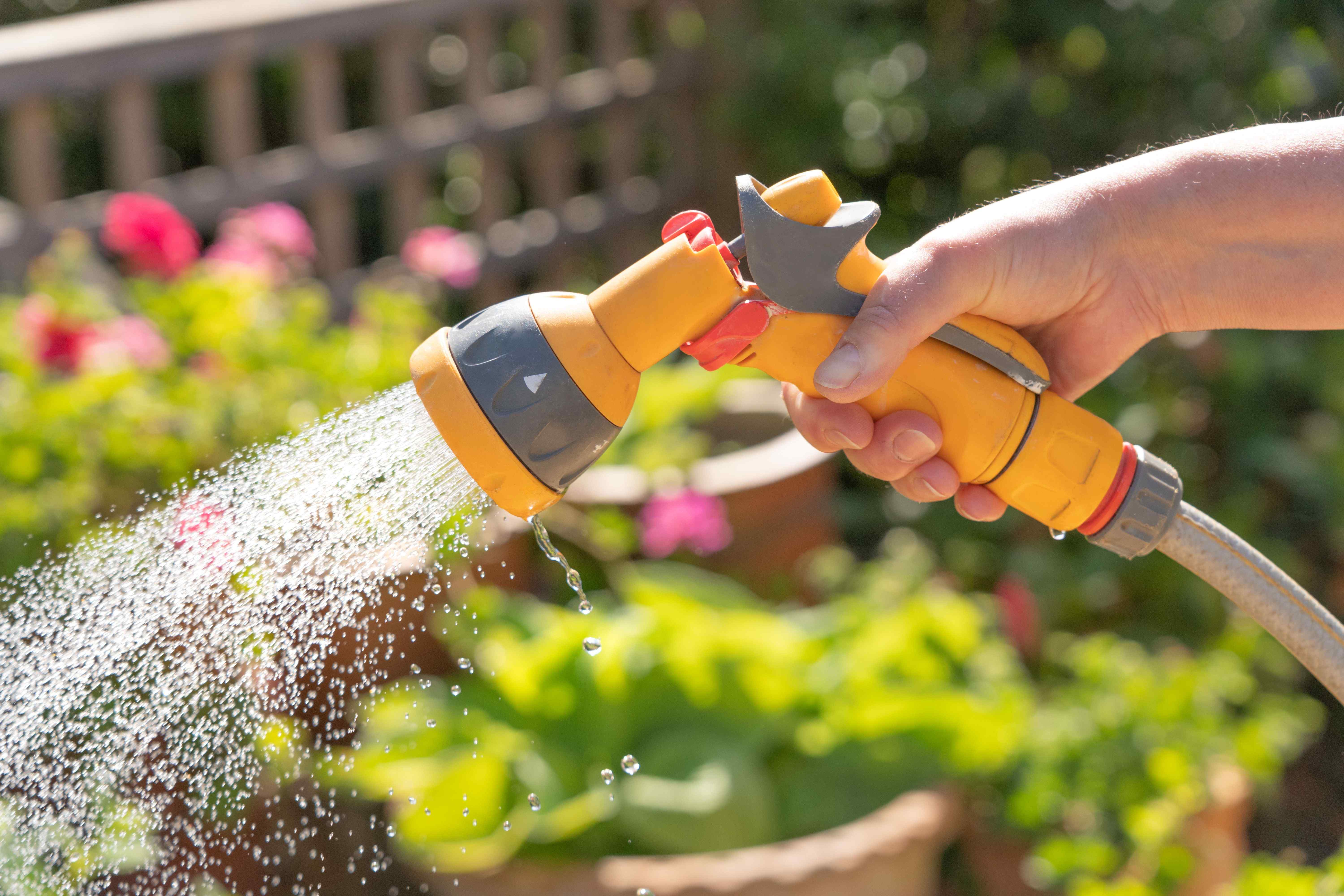 Watering lance and spray gun buying guide