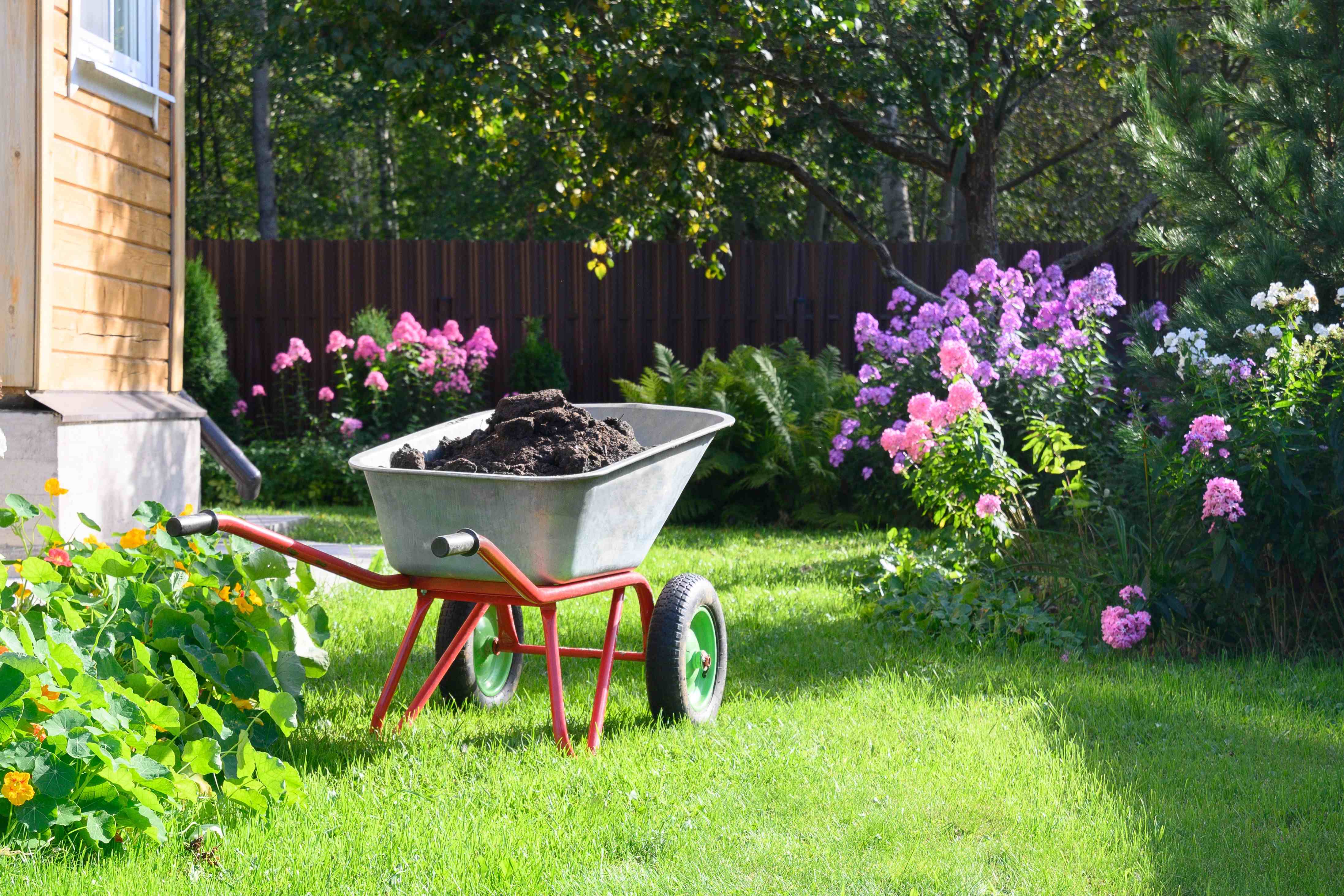 Entretien du potager en été
