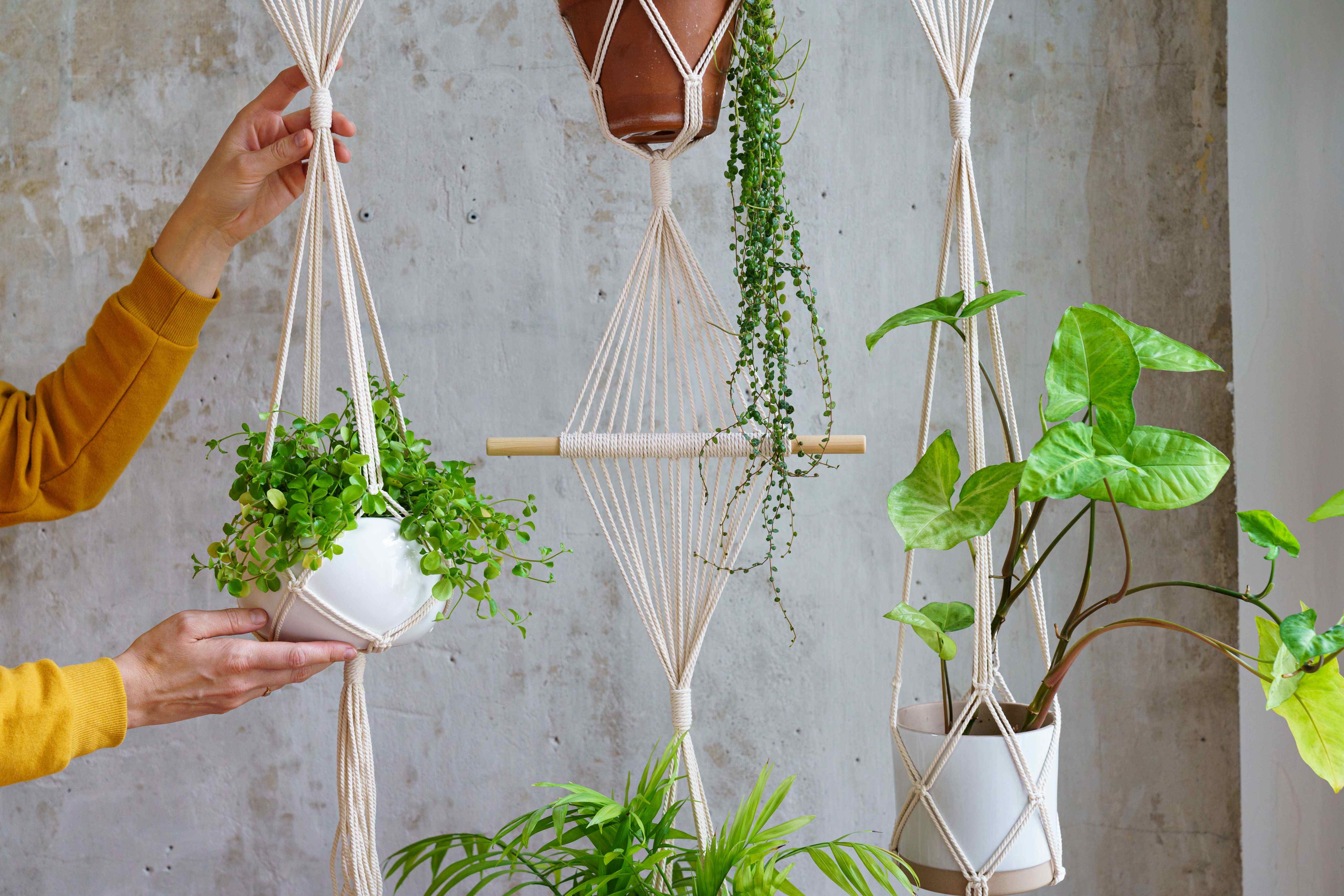 Comment choisir des jardinières ?
