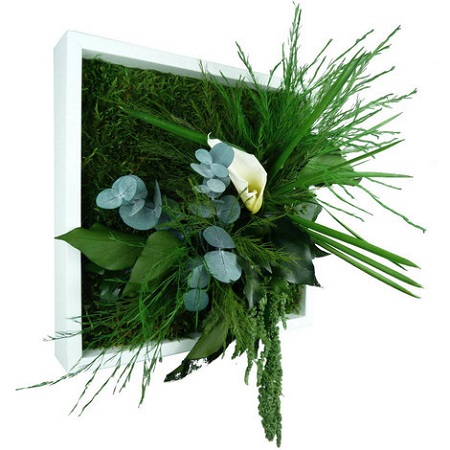 Come Creare Un Quadro Vegetale E Come Averne Cura