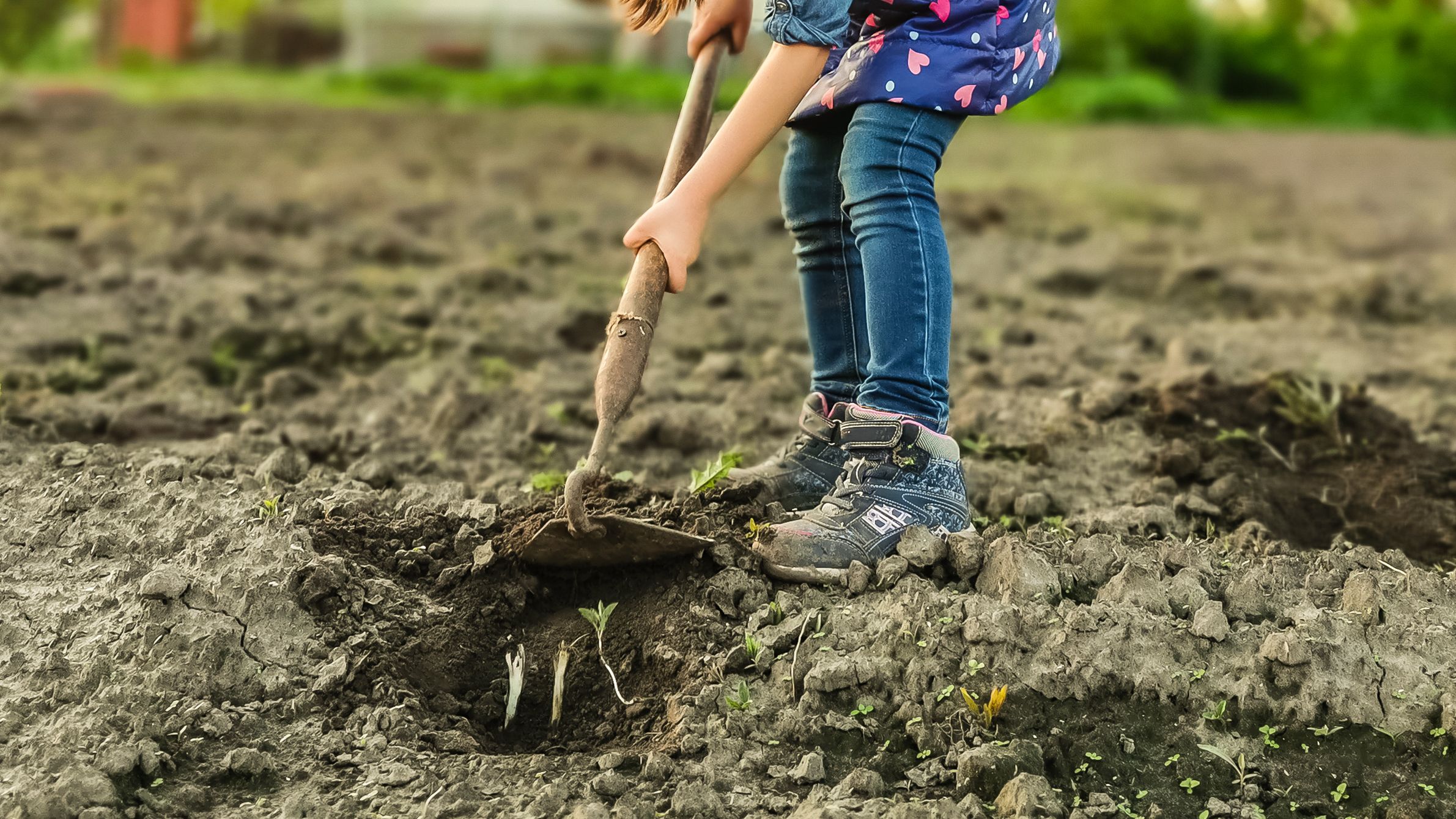 Comment préparer le sol pour un potager