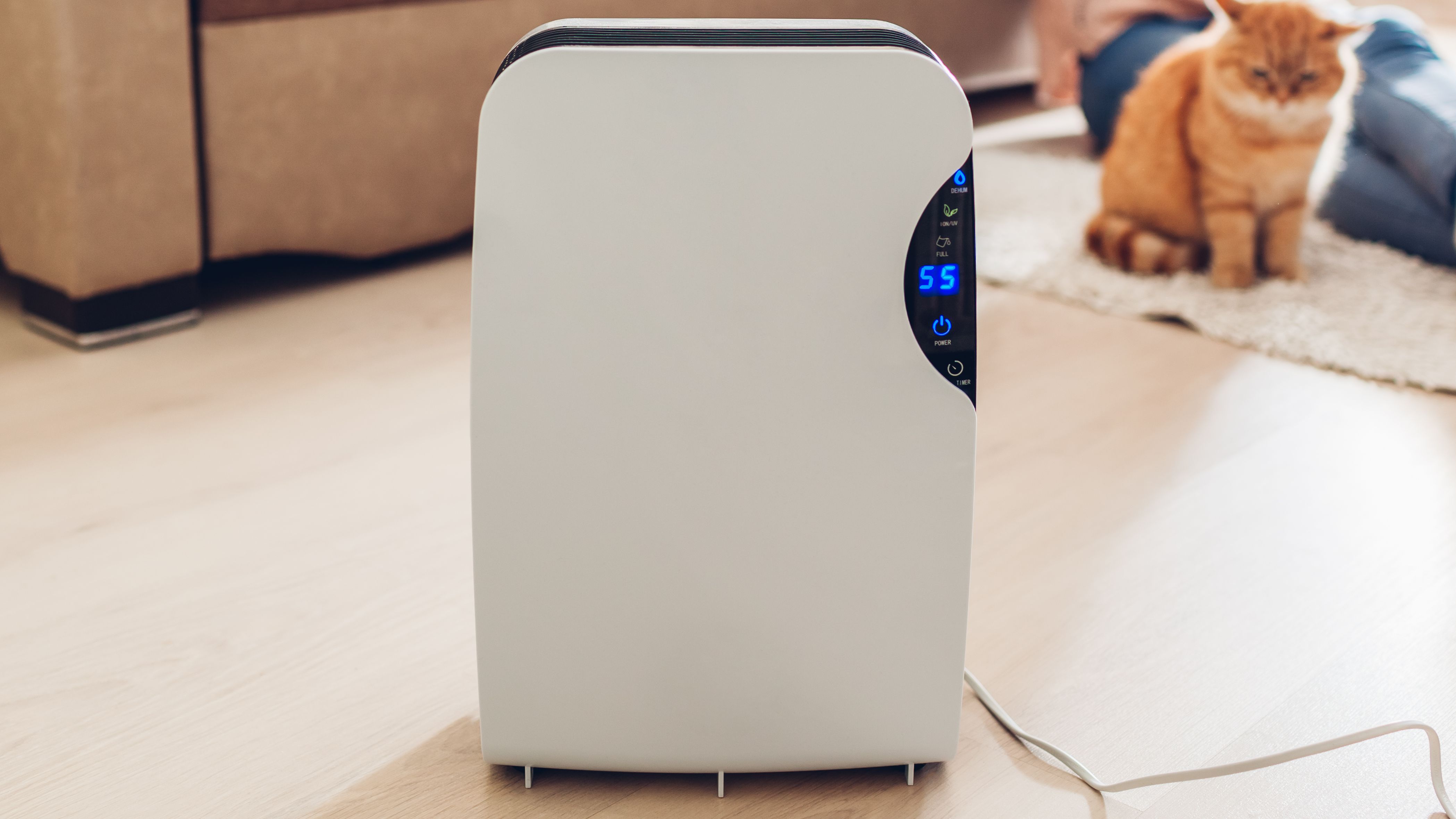 Comment choisir son déshumidificateur d'air