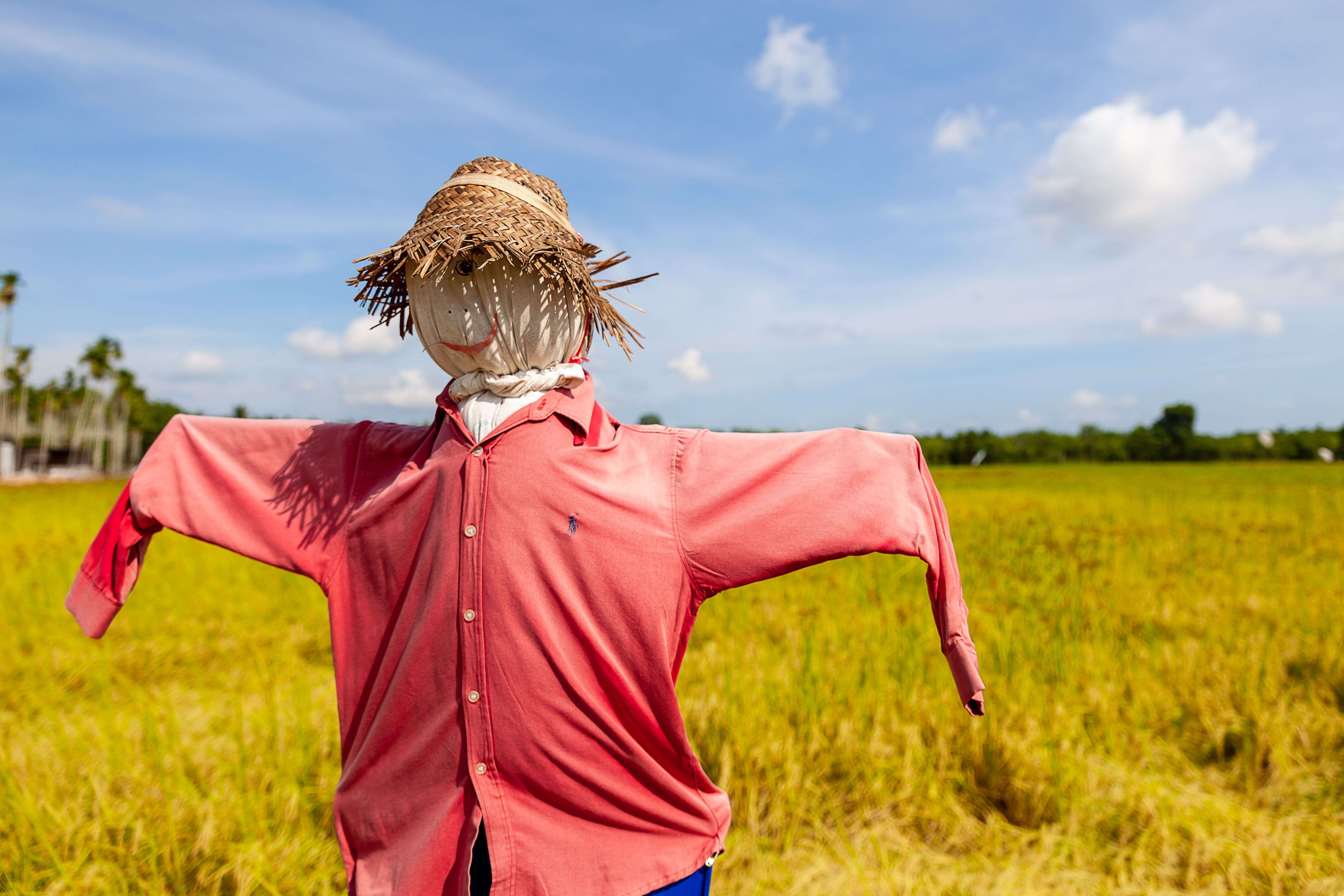 Epouvantail à gaz et effaroucheurs : comment choisir