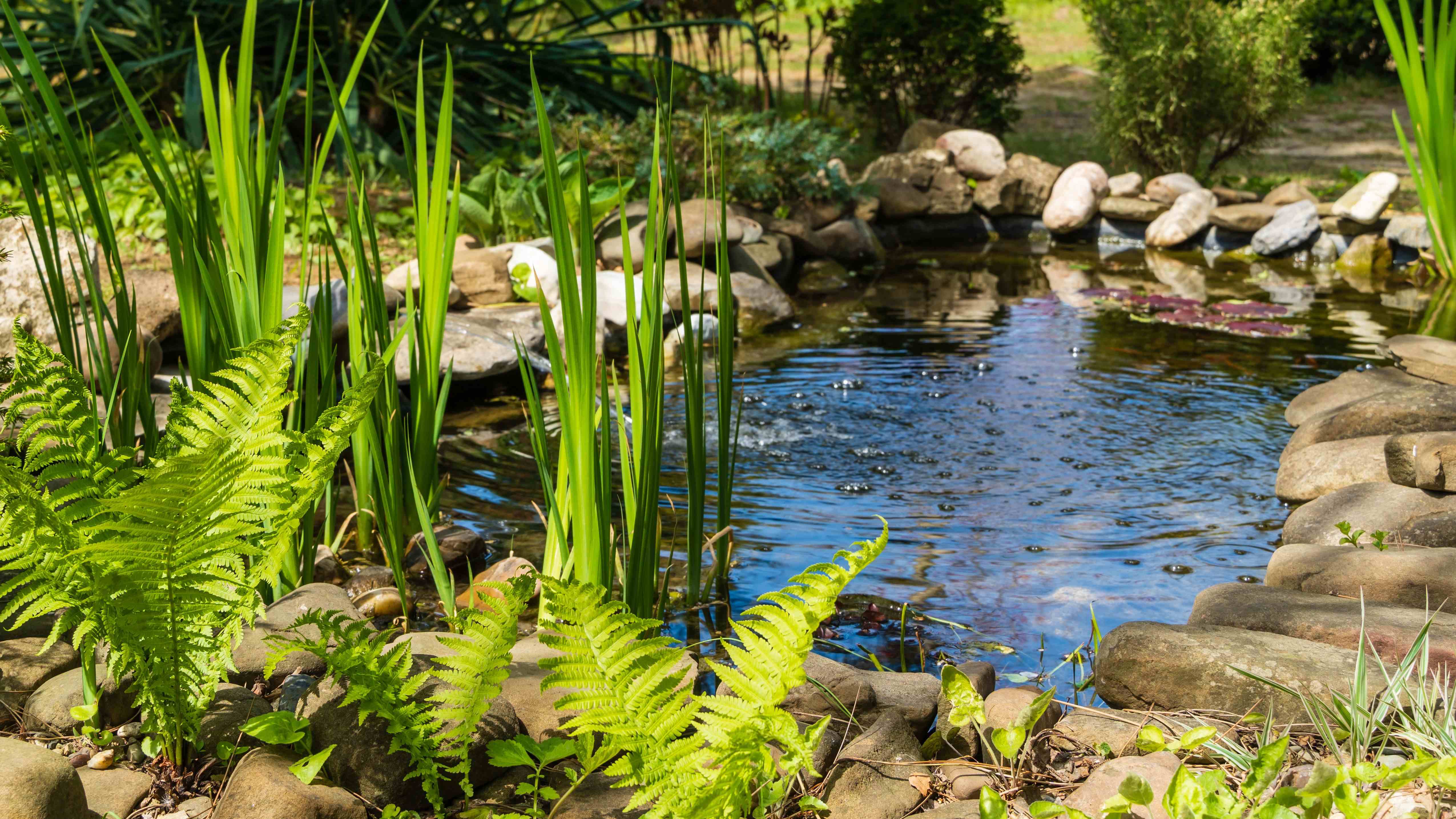 Cómo elegir un estanque para el jardín