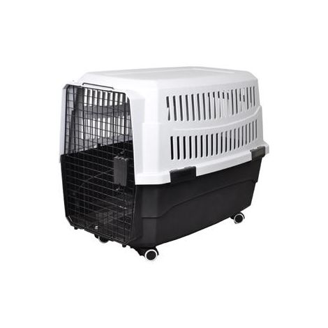 iata approved cat carrier