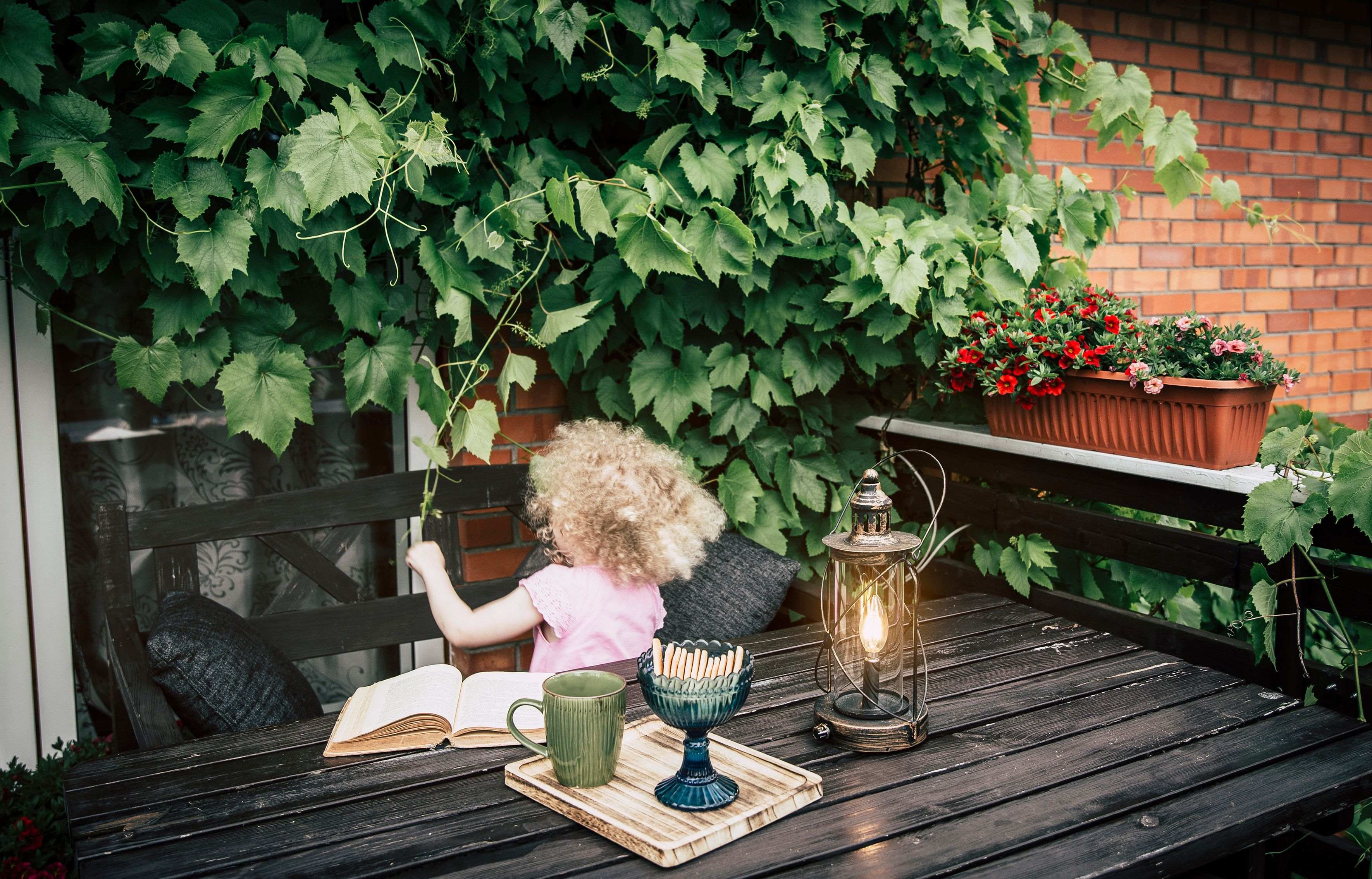 Quelles plantes grimpantes choisir pour un balcon ou une terrasse ?
