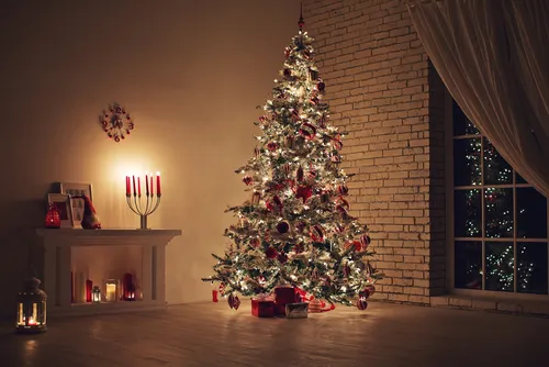 So Finden Sie Den Richtigen Weihnachtsbaum