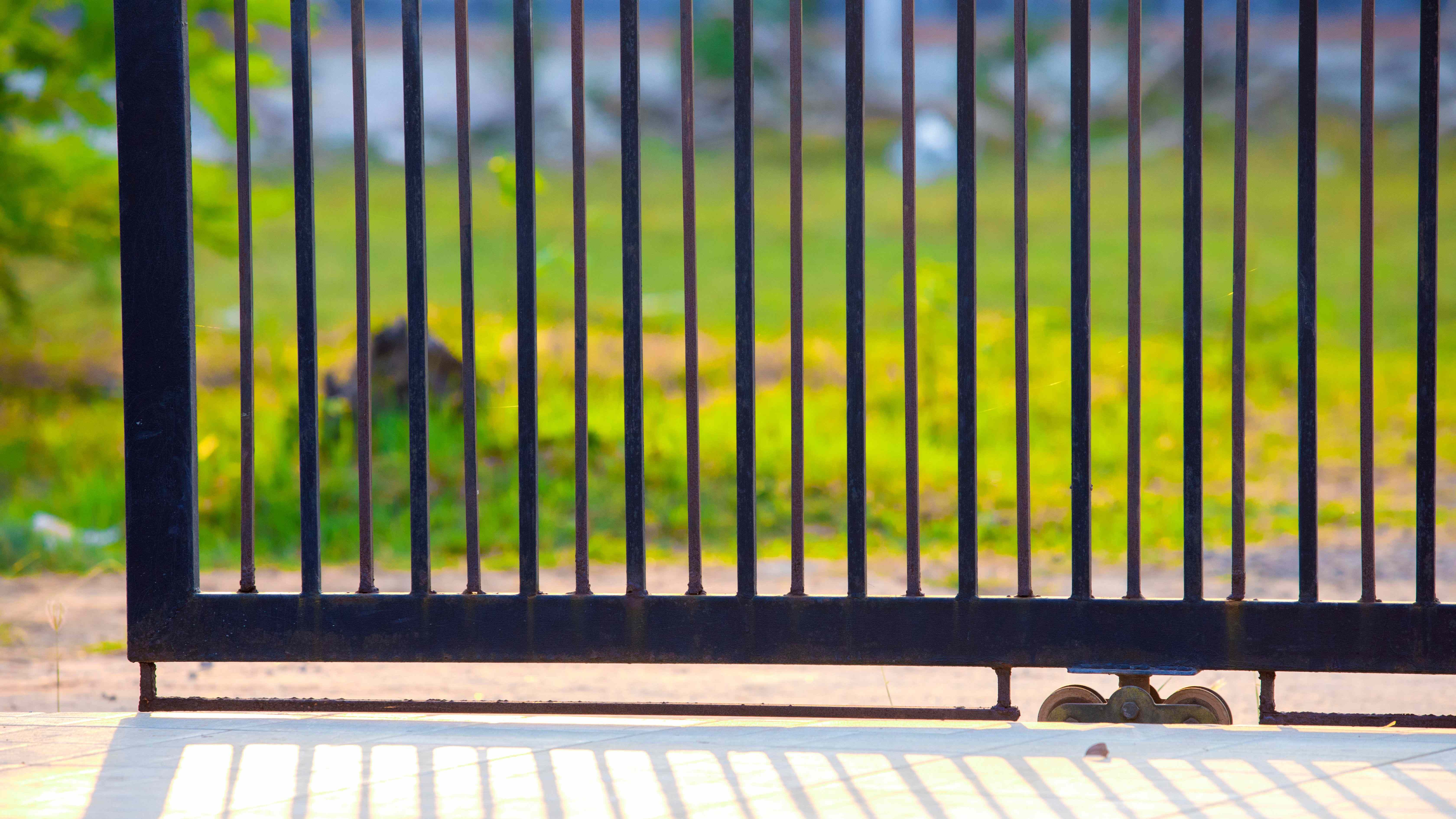 Gate buying guide