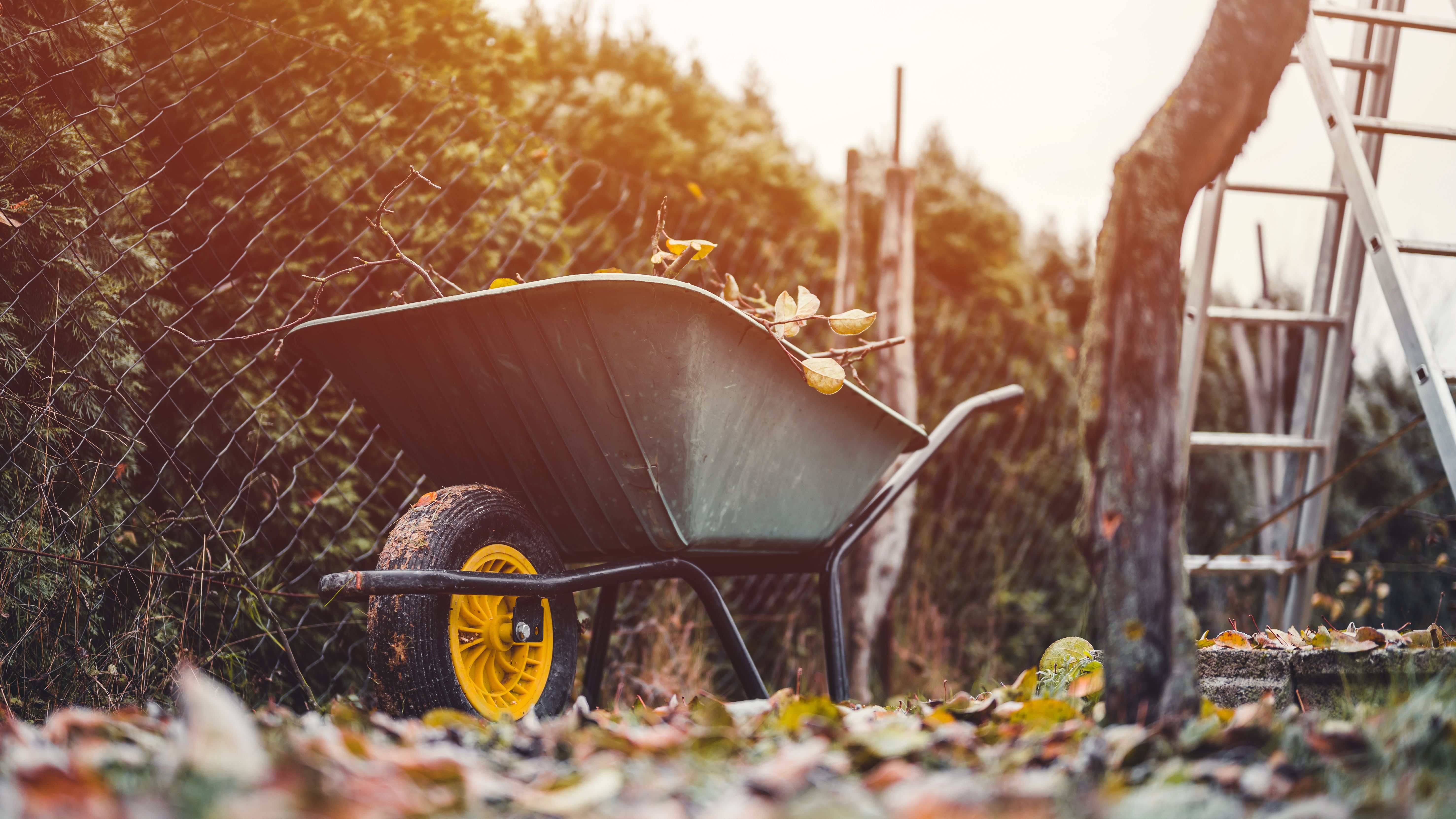 Wheelbarrow buying guide