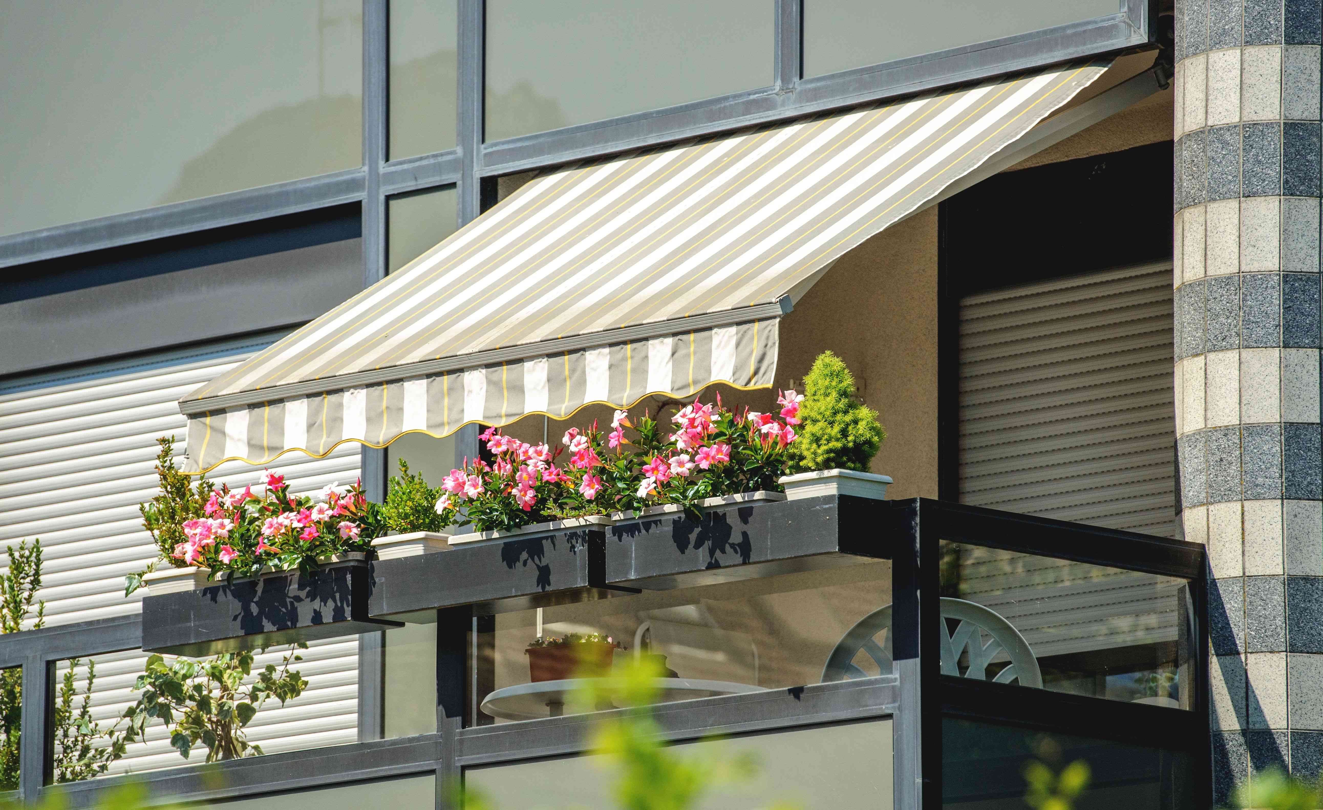 Patio awning buying guide