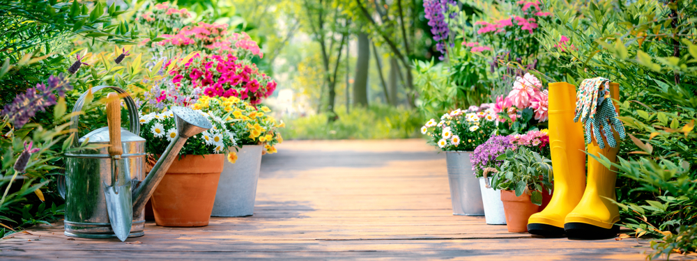 Quelles Fleurs Semer Ou Planter En Avril