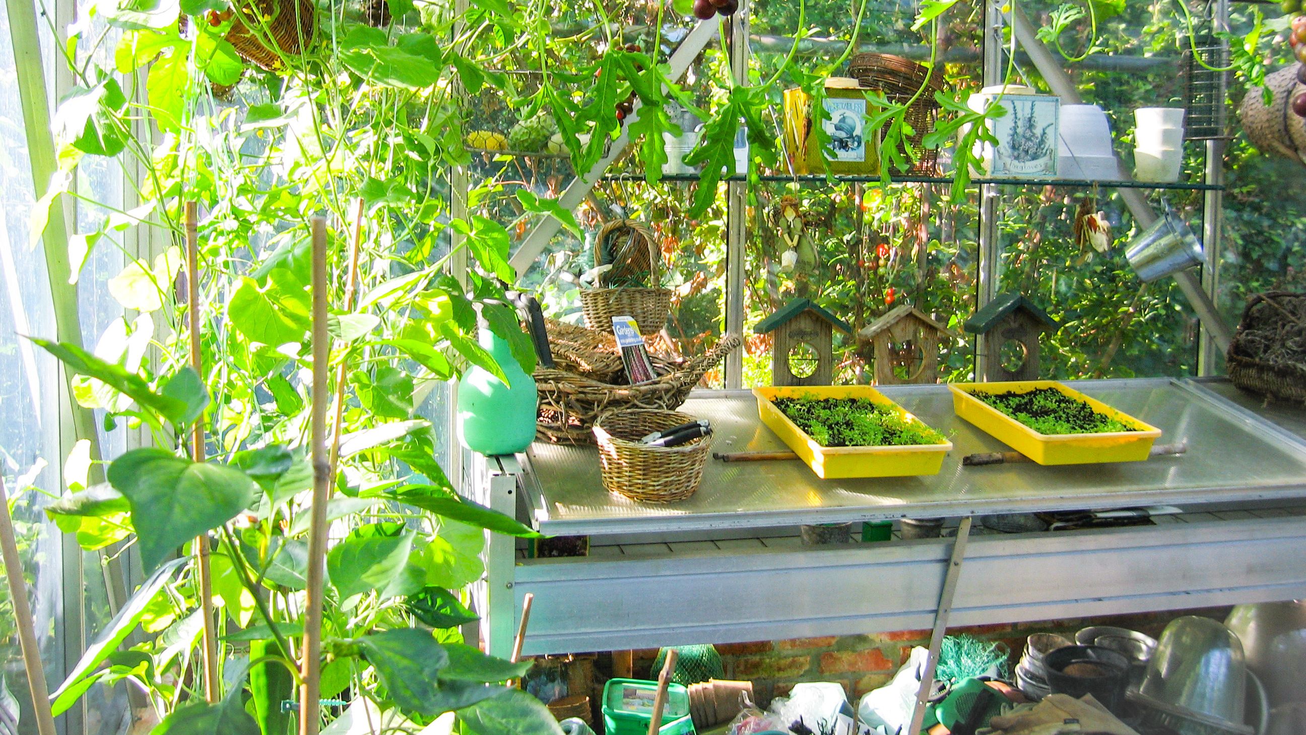 How to choose your planting table?