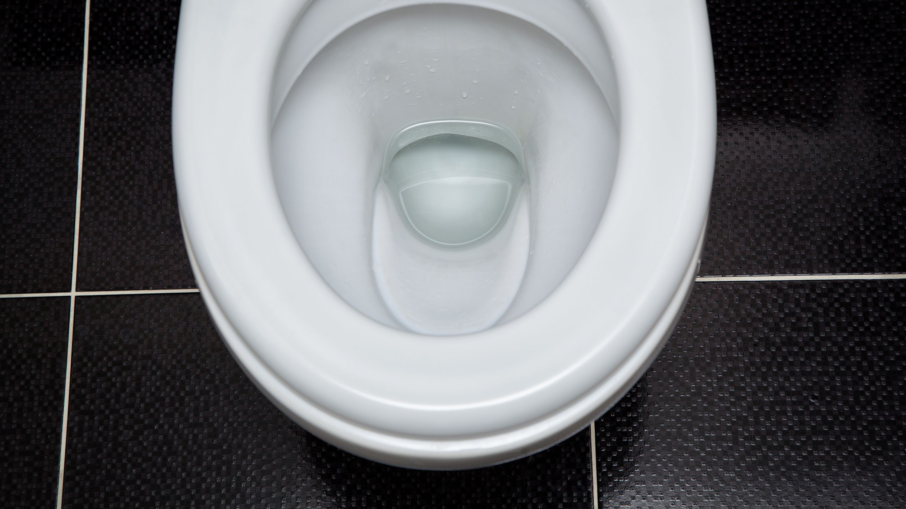 Wall-hung or close-coupled toilet: which is right for you?