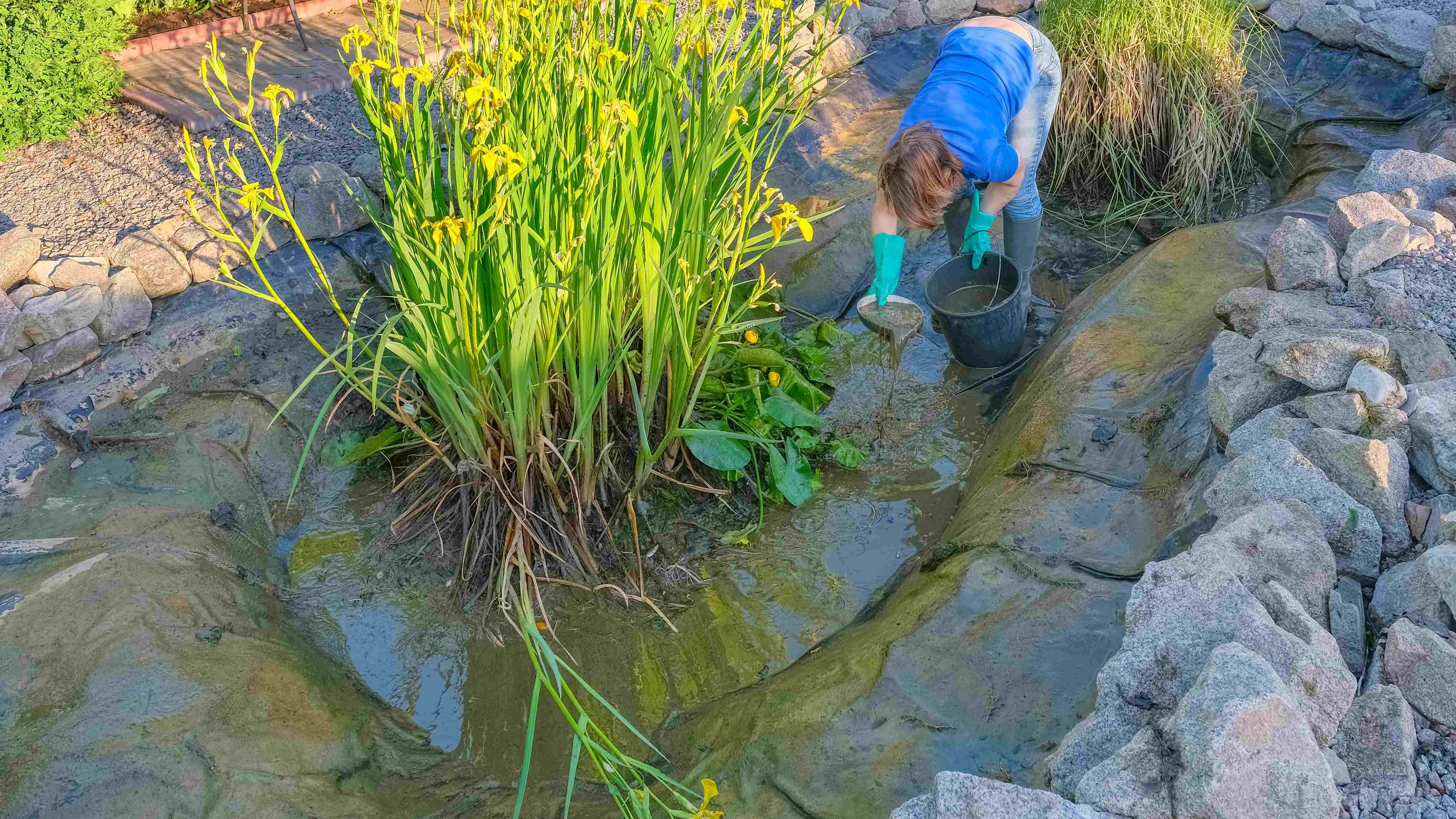 Cómo mantener un estanque de jardín