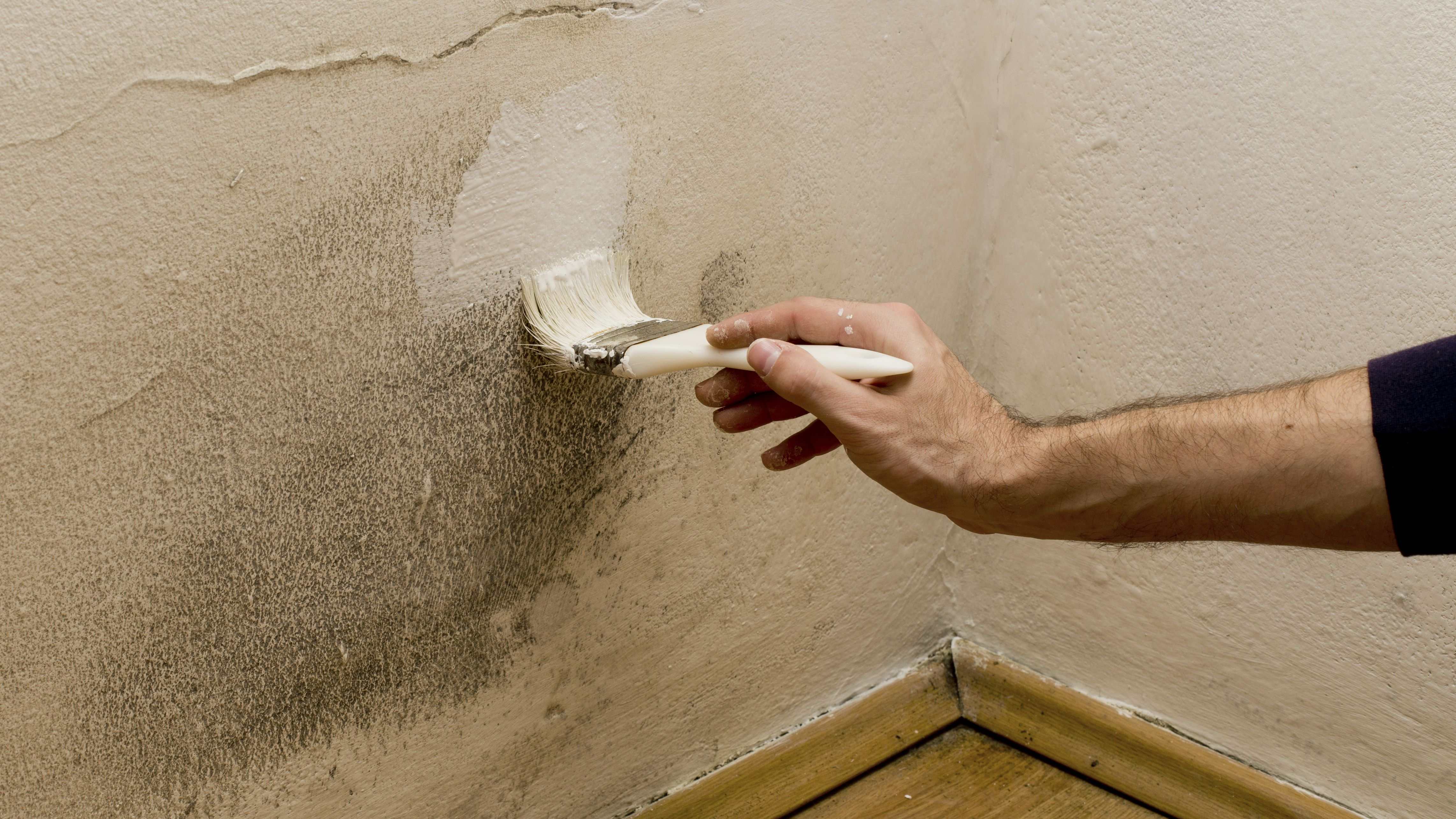 Zoom sur la peinture anti-condensation