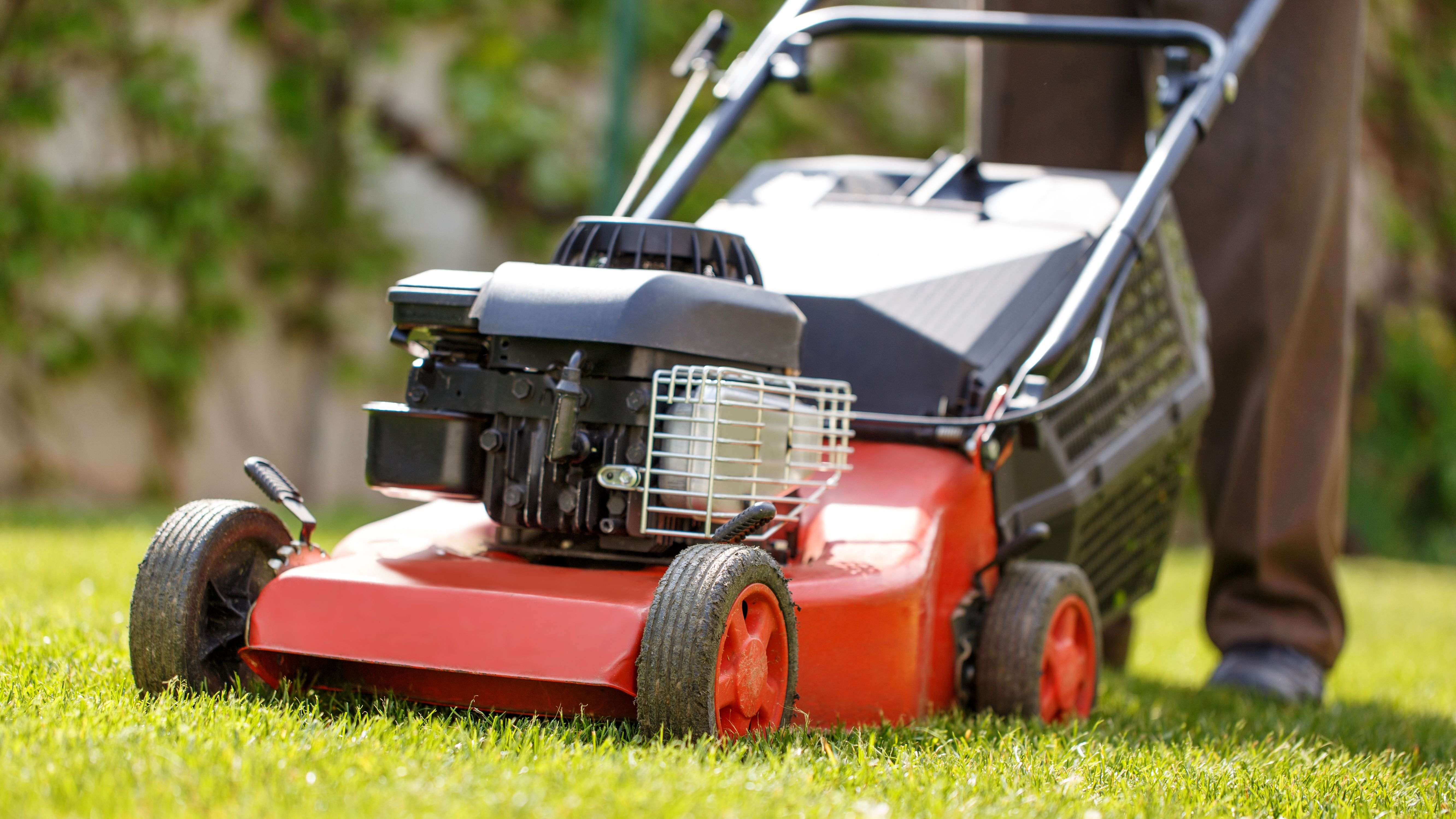Lawnmower buying guide