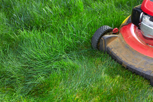 How to mulch with a lawnmower