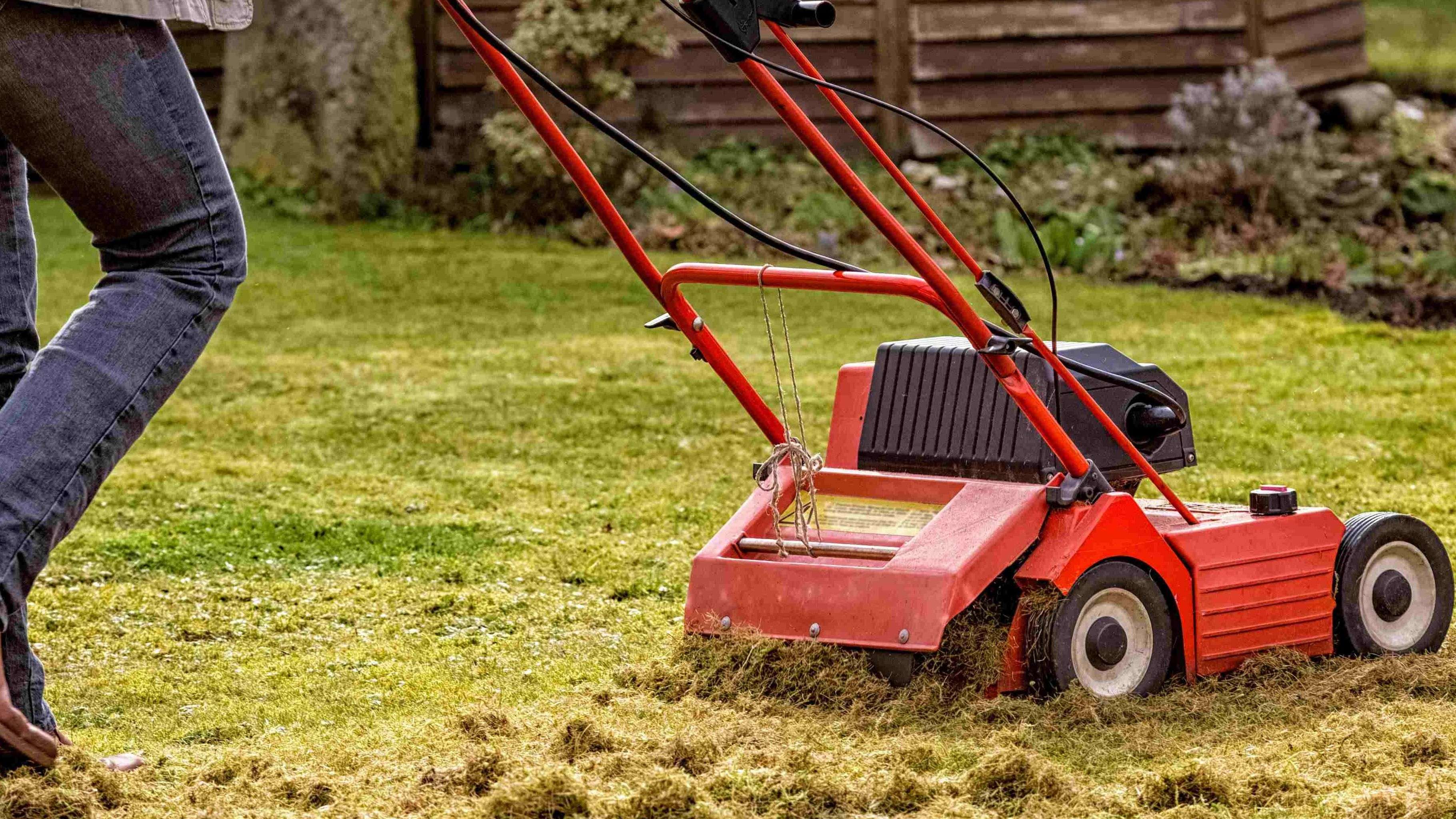 Cómo elegir un escarificador