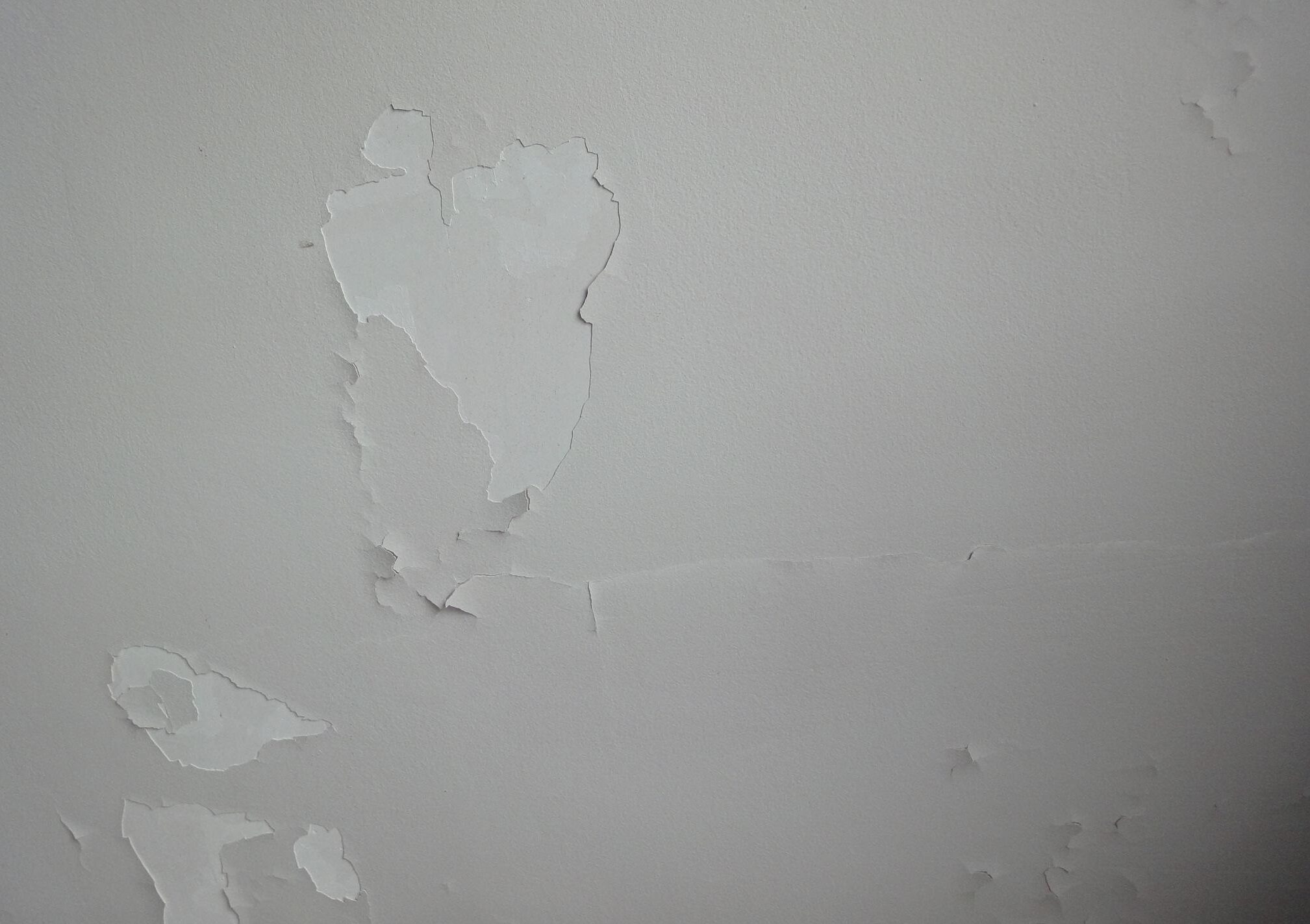 Au secours! J'ai collé un truc au mur de mon appart et quand je l'ai  décollé une couche épaisse de peinture est partie avec, svp je fais quoi ?  : r/AskFrance