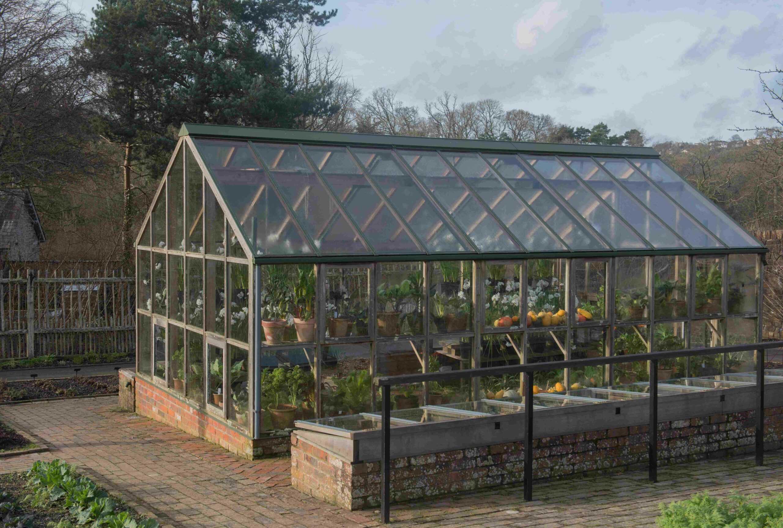 Serre de jardin polycarbonate : pour un potager précoce et durable