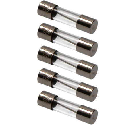EDM-Sicherung 5x20mm 6A (5 Stück)