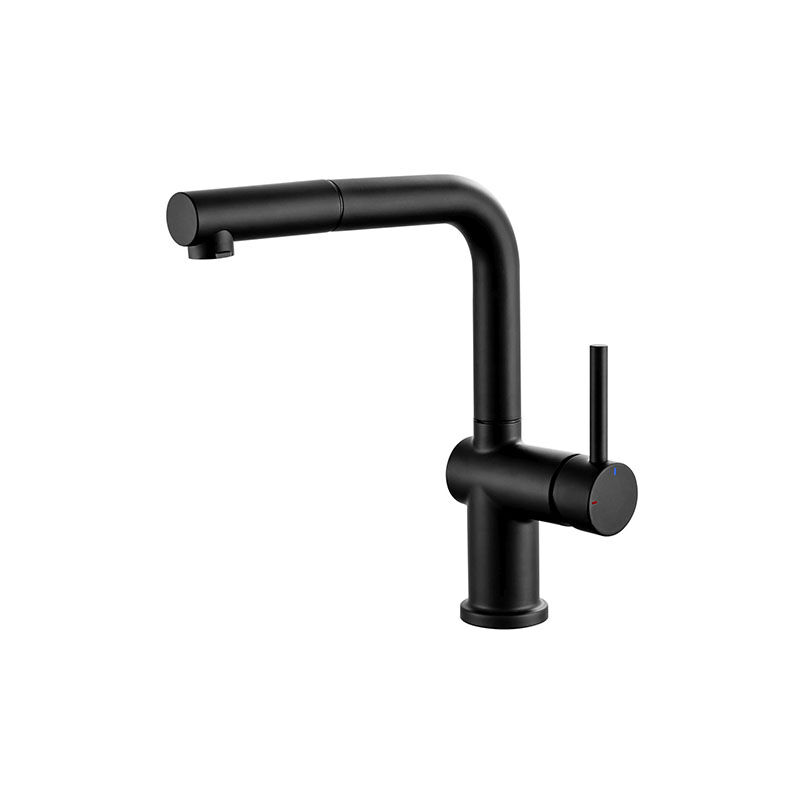 Edouard Rousseau - Mitigeur Evier carré - Douchette extractible - Noir