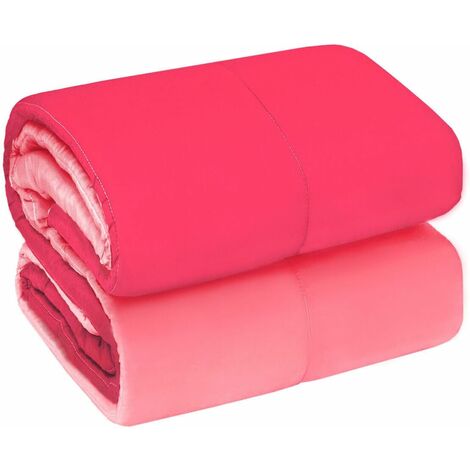 EMMEVI MV S.P.A. Édredon Couette de Lit Hiver Double Face 250 gr Couverture Chaud Lit Double 2 Places Fuxia - 1 Place et Midi